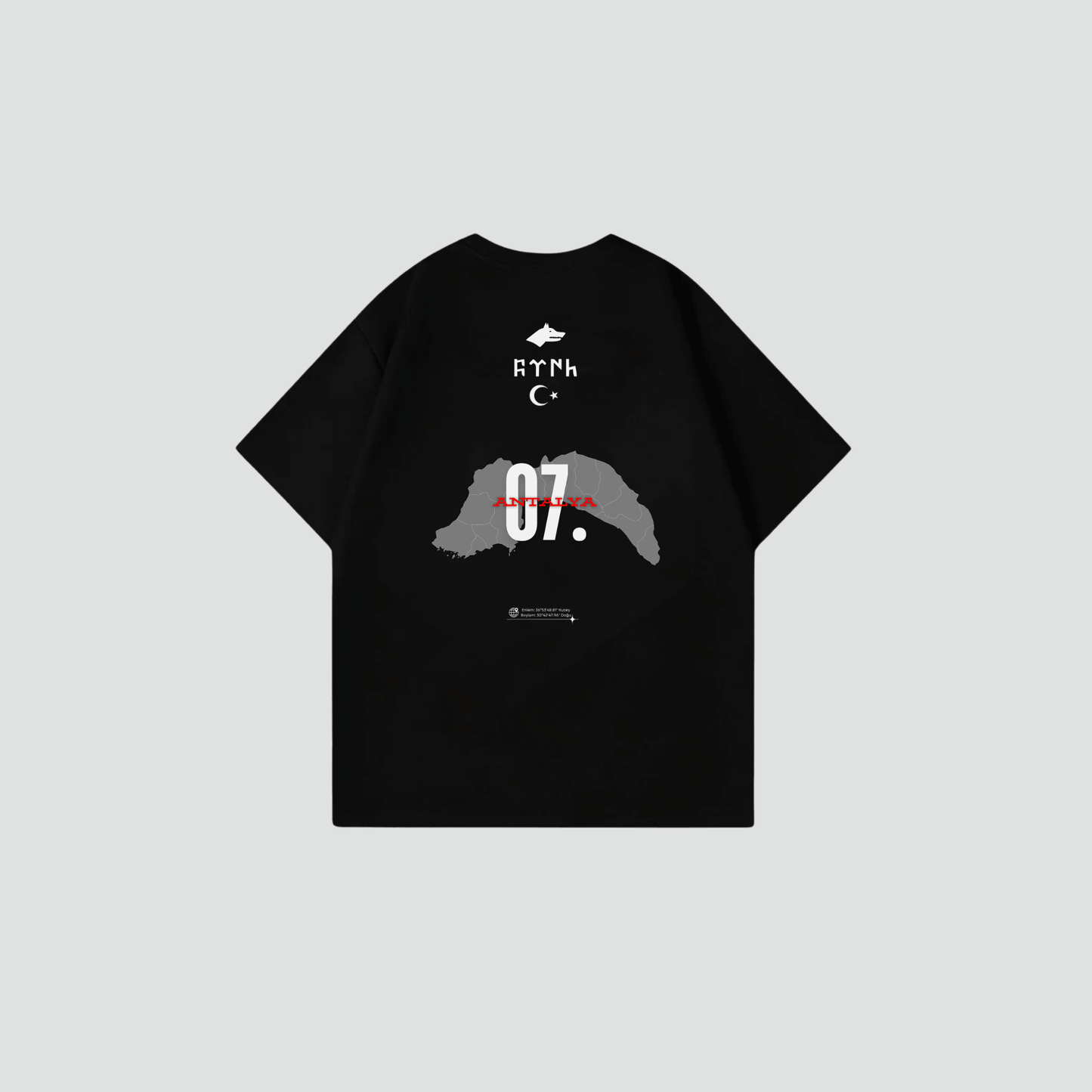 ANTALYA 07 - Oversize Shirt Backprint