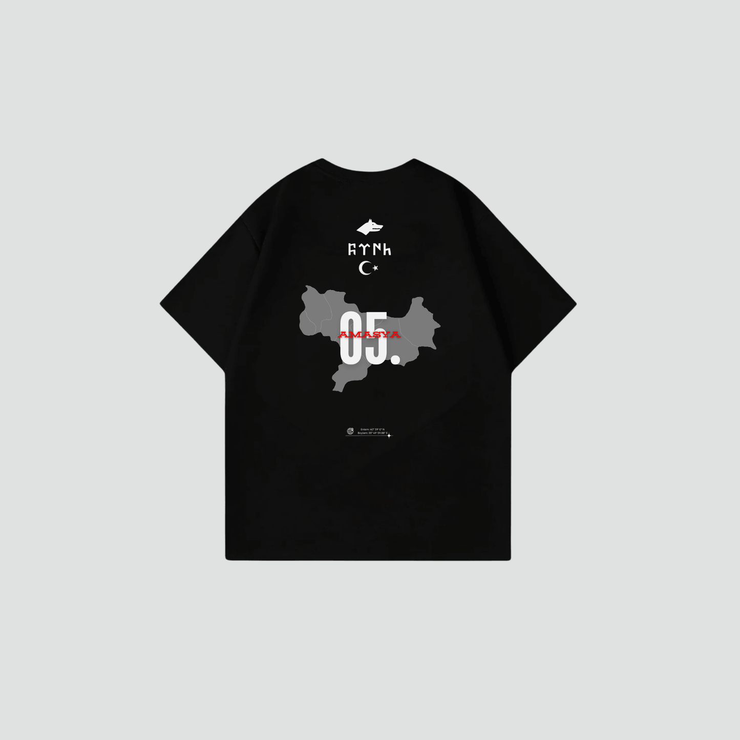 AMASYA 05 - Oversize Shirt Backprint
