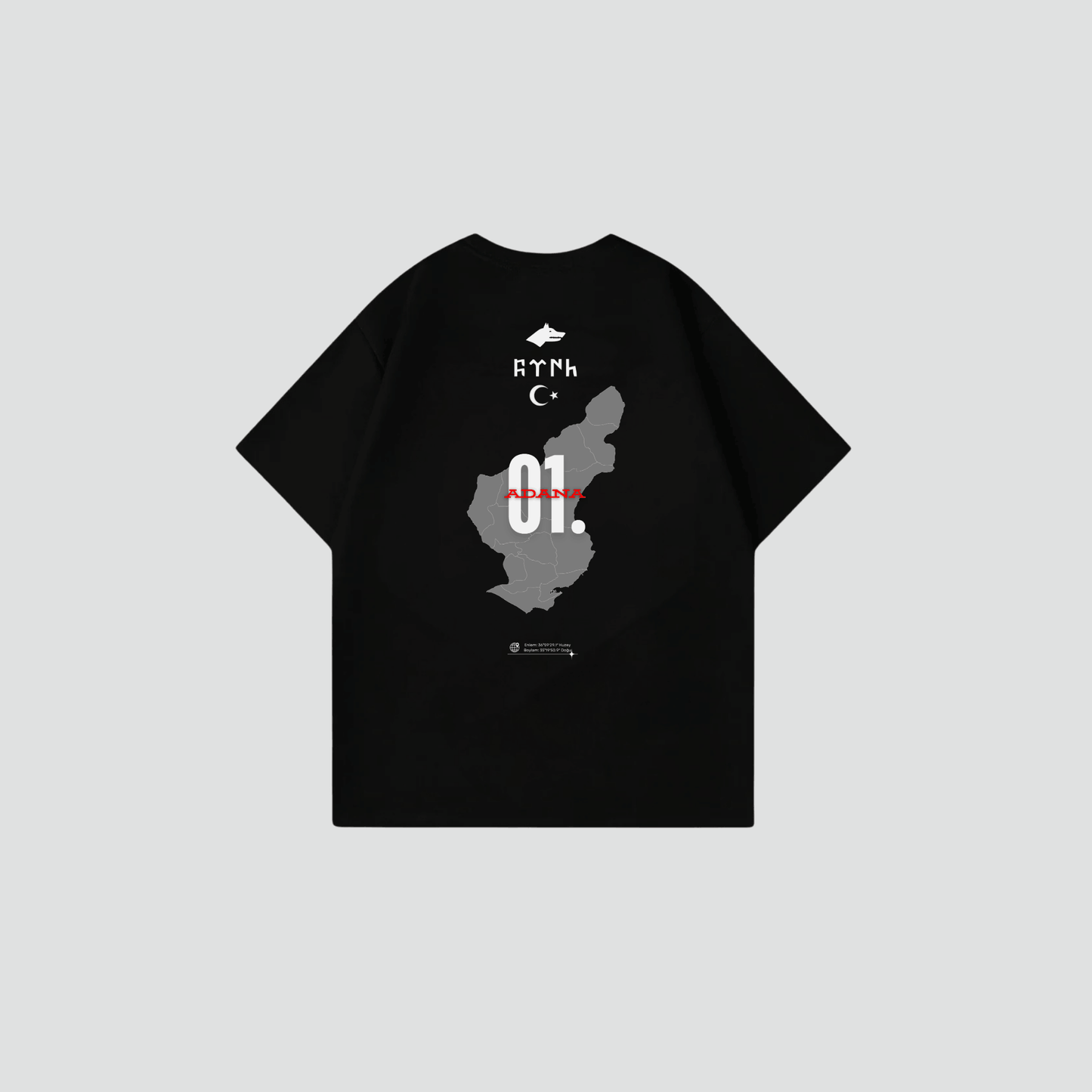 ADANA 01 - Oversize Shirt Backprint