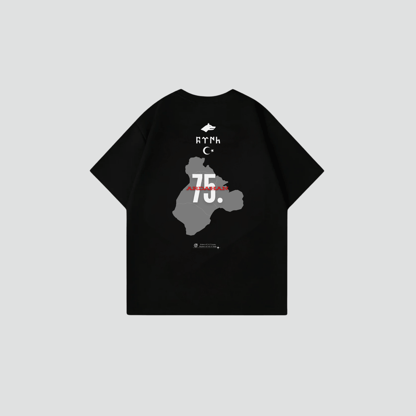 ARDAHAN 75 - Oversize Shirt Backprint