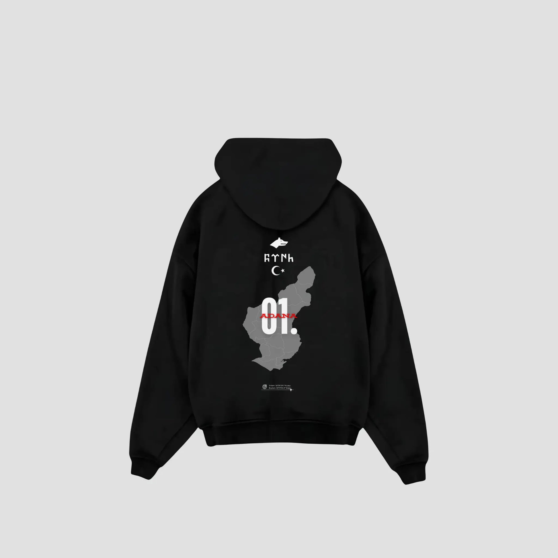 ADANA 01 - Oversized Hoodie Backprint Printegy