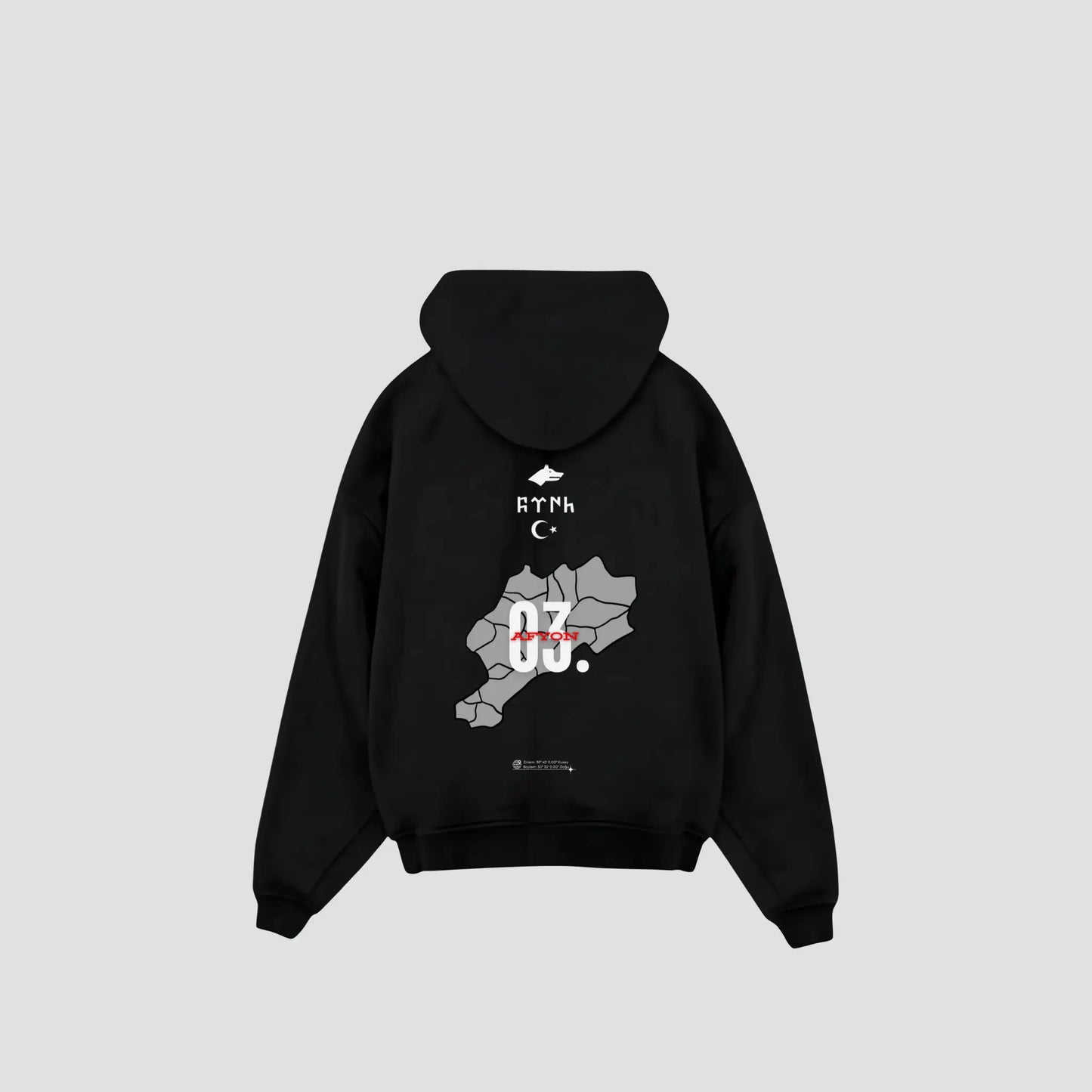 AFYON 03 - Oversized Hoodie Backprint Printegy
