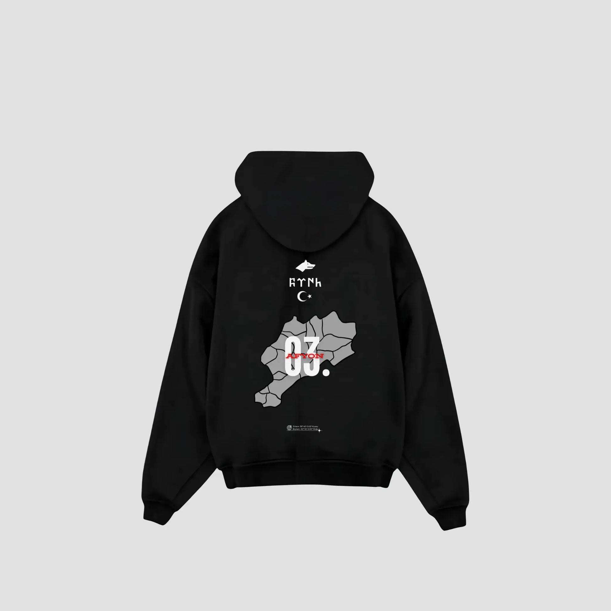 AFYON 03 - Oversized Hoodie Backprint Printegy