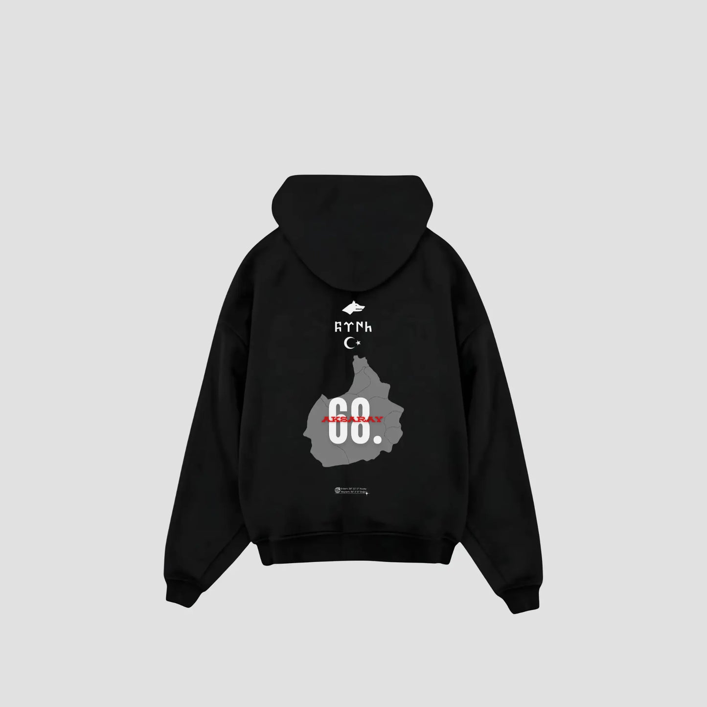 AKSARAY 68 - Oversized Hoodie Backprint Printegy