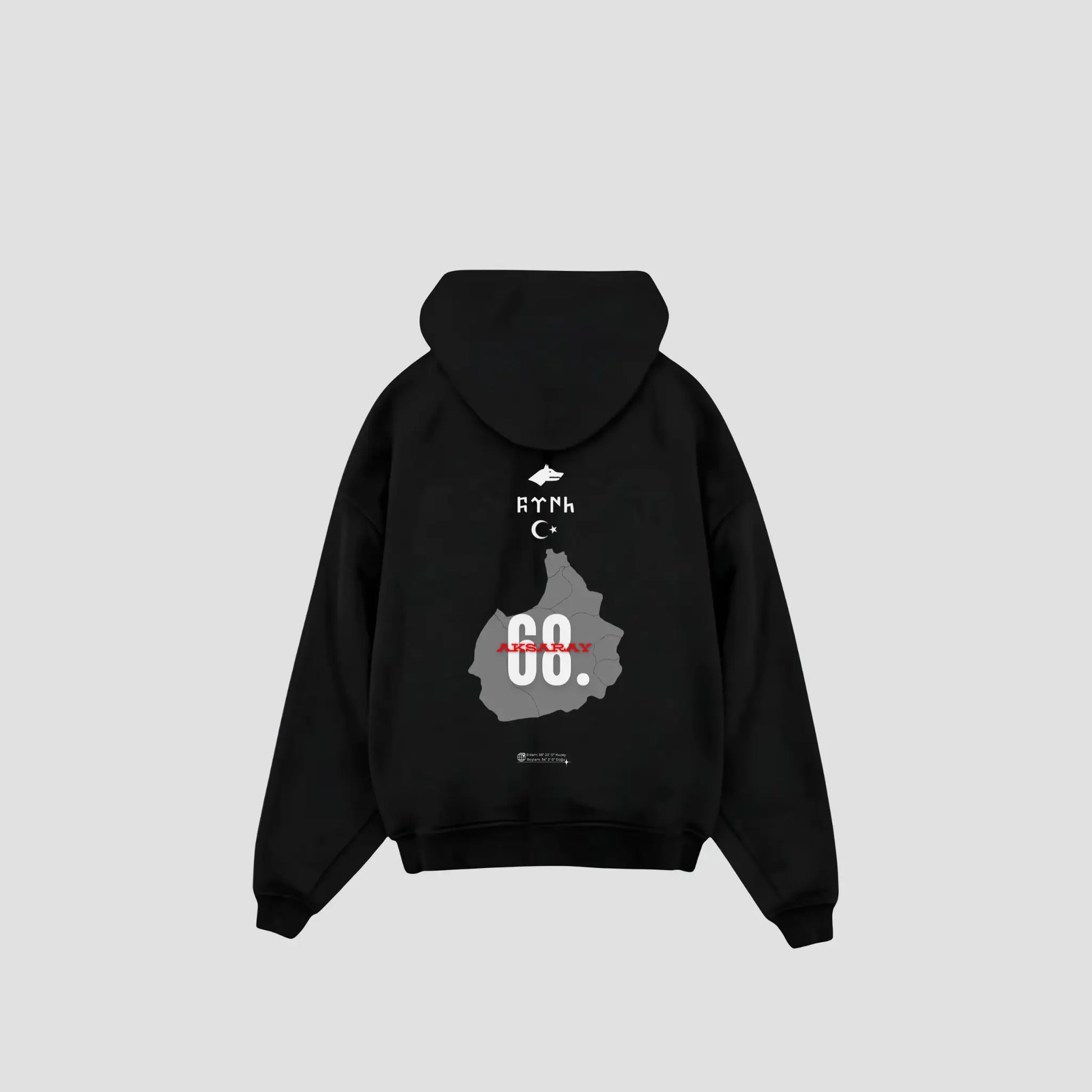 AKSARAY 68 - Oversized Hoodie Backprint Printegy