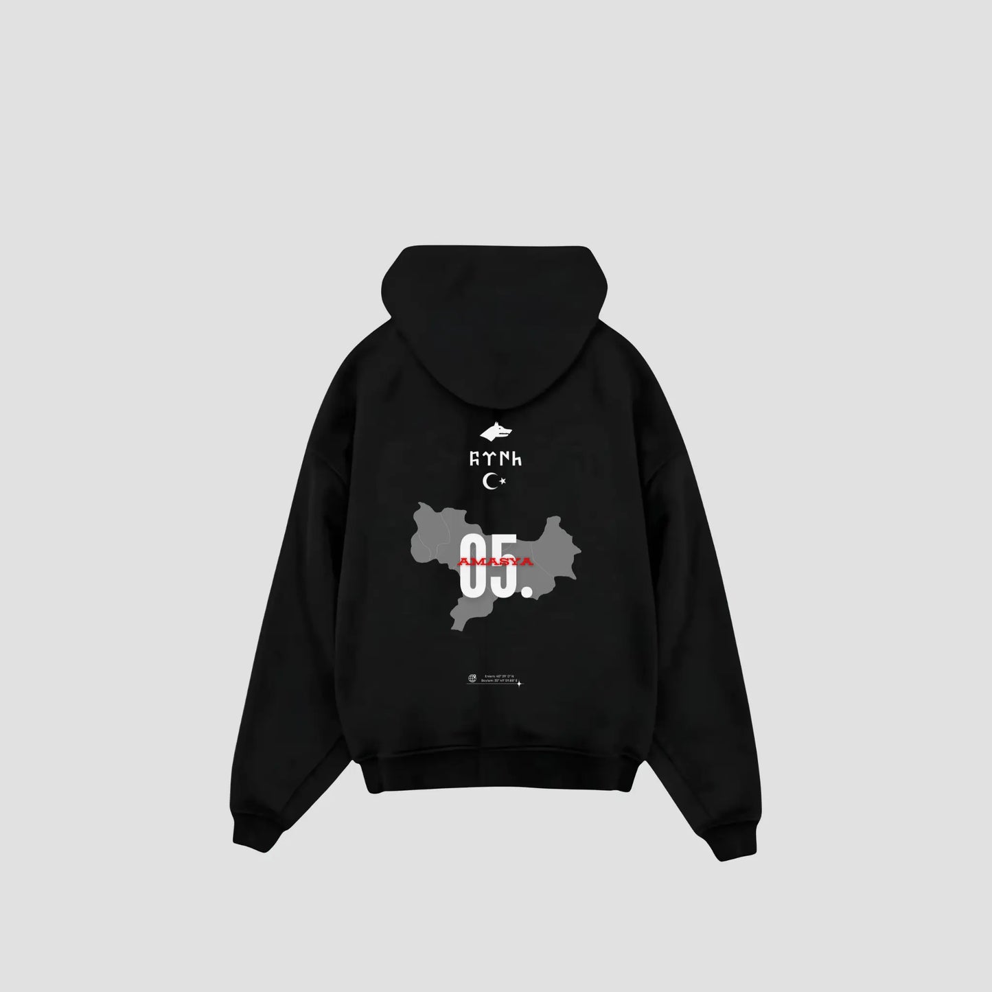 AMASYA 05 - Oversized Hoodie Backprint Printegy