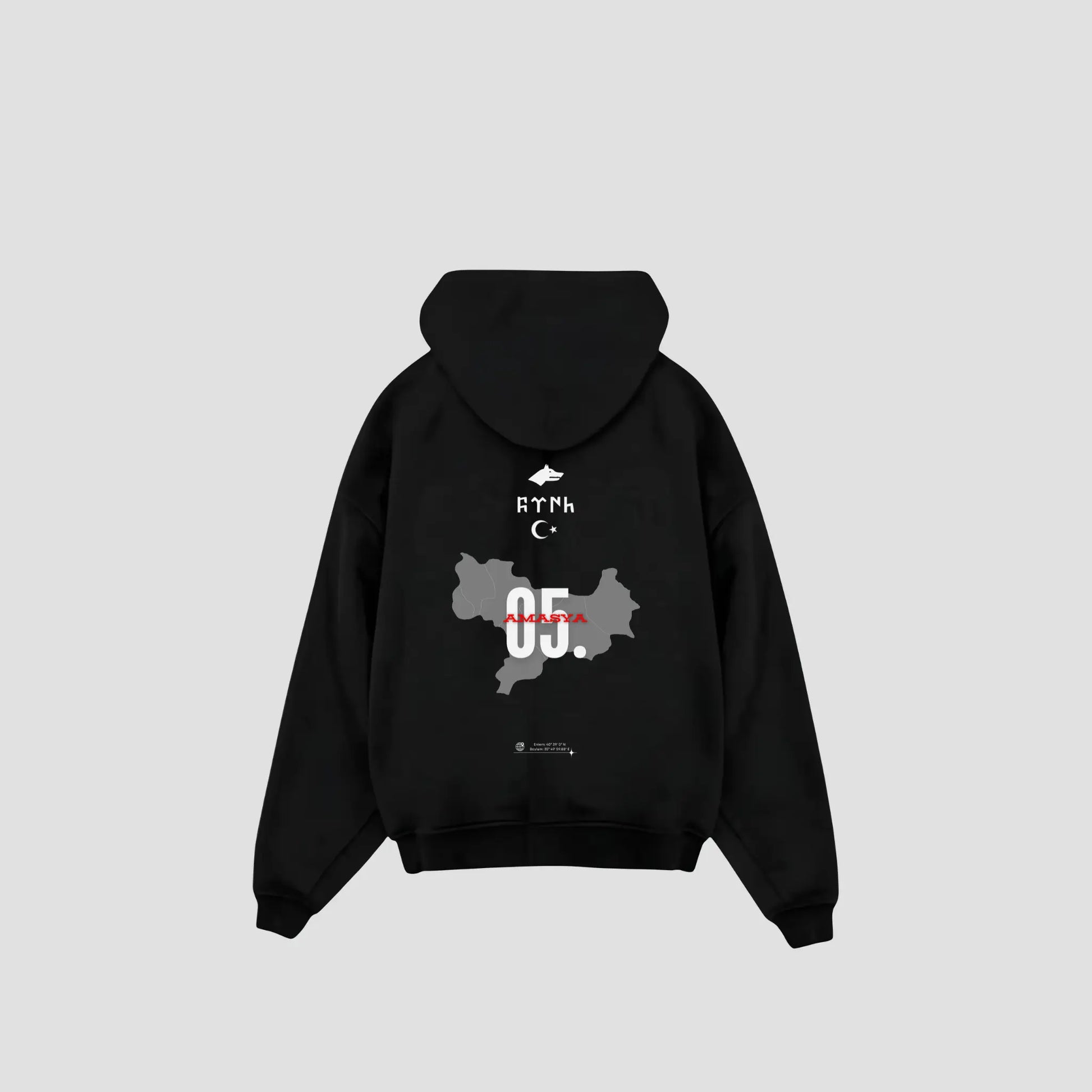 AMASYA 05 - Oversized Hoodie Backprint Printegy