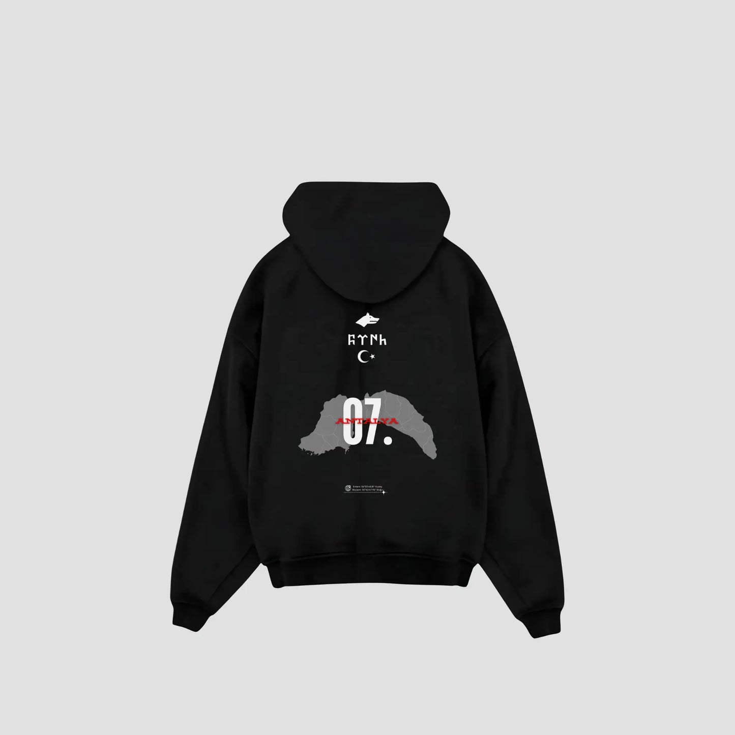 ANTALYA 07 - Oversized Hoodie Backprint Printegy