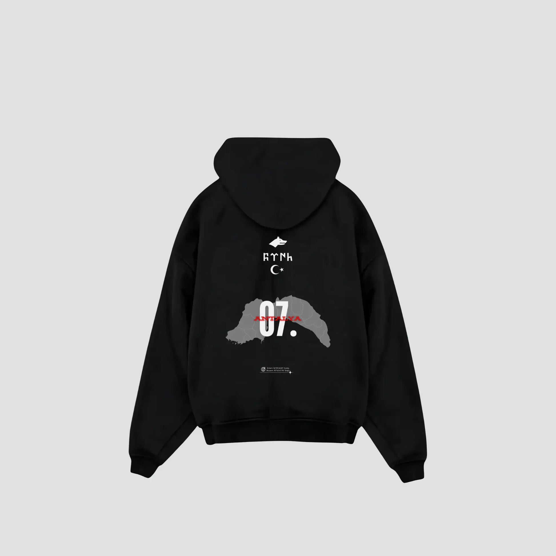 ANTALYA 07 - Oversized Hoodie Backprint Printegy