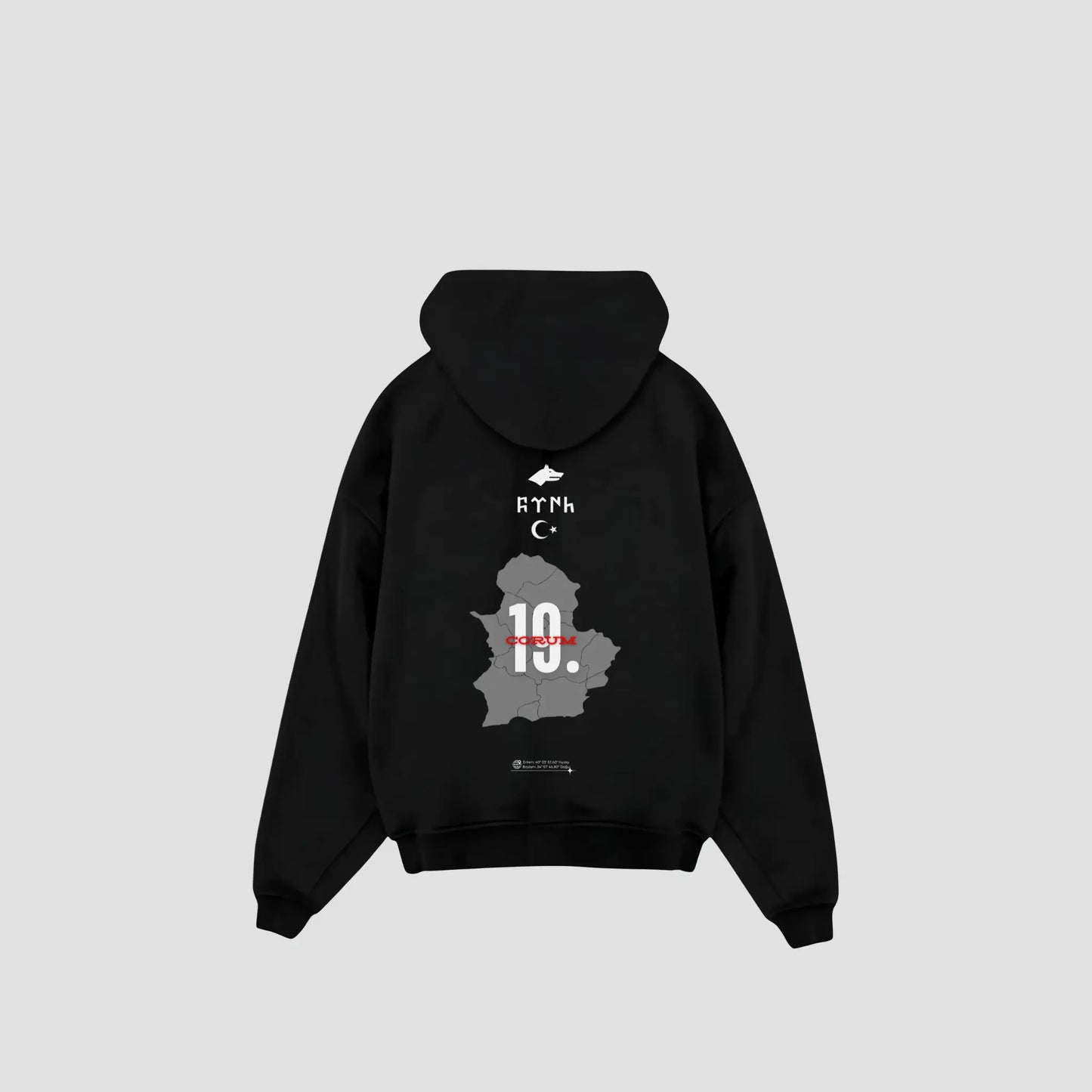 CORUM 19 - Oversized Hoodie Backprint Printegy