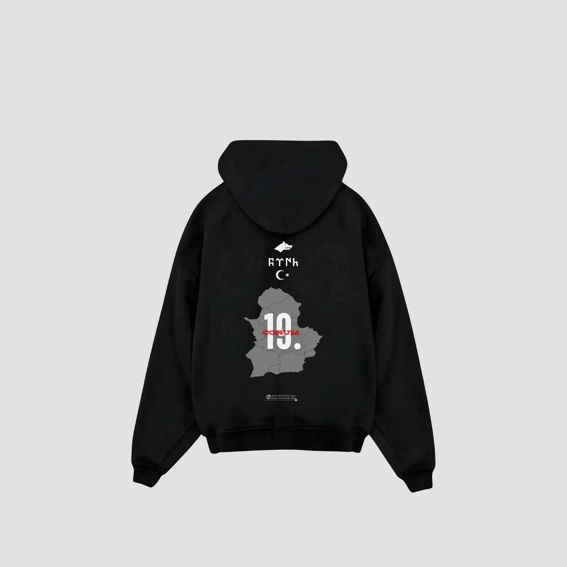 CORUM 19 - Oversized Hoodie Backprint Printegy