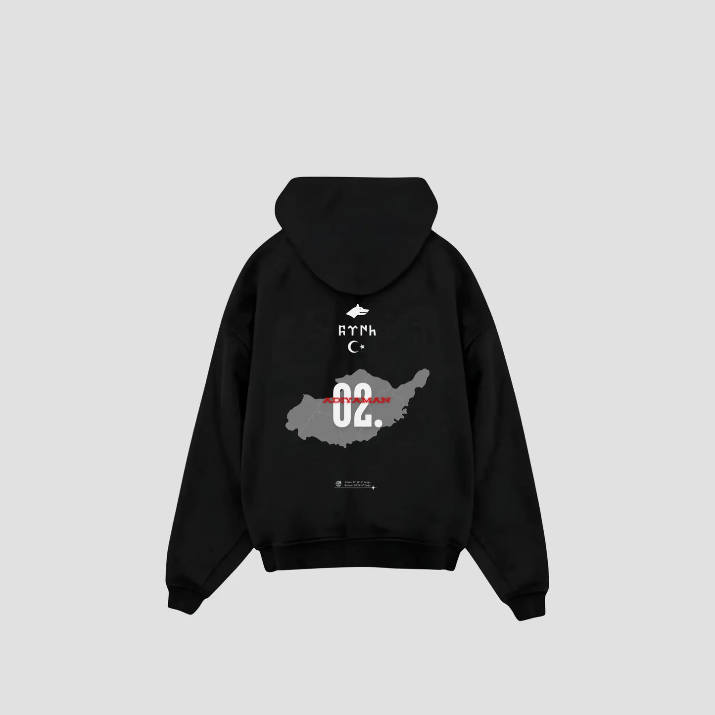 ADIYAMAN 02 - Oversized Hoodie Backprint Printegy