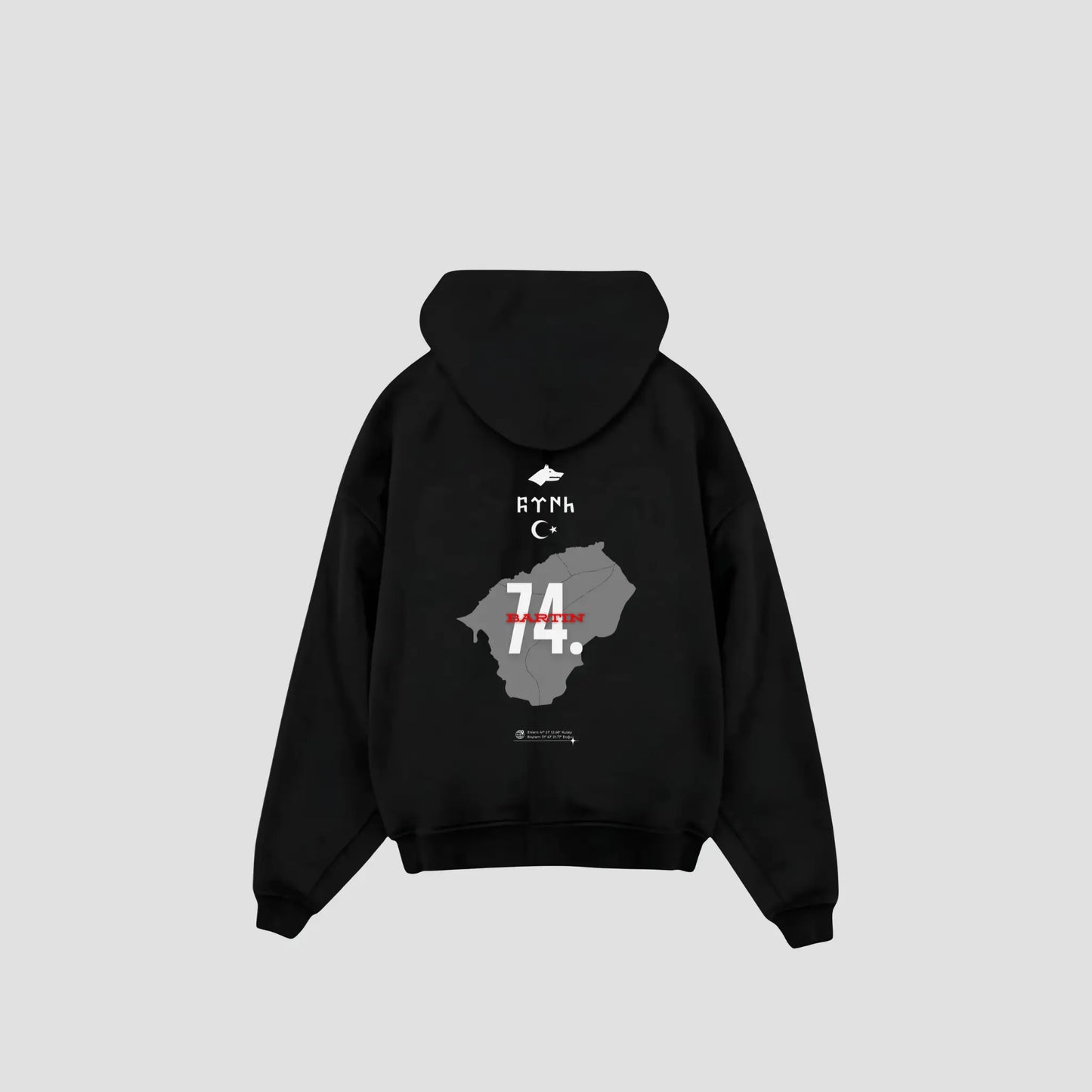 BARTIN 74 - Oversized Hoodie Backprint Printegy