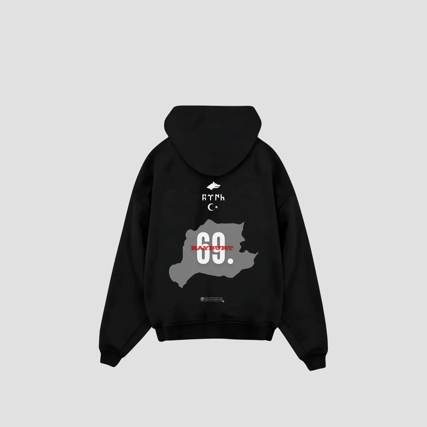 BAYBURT 69 - Oversized Hoodie Backprint Printegy