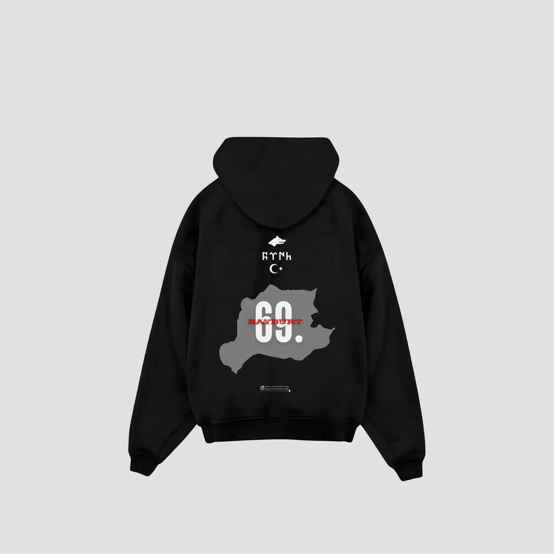 BAYBURT 69 - Oversized Hoodie Backprint Printegy
