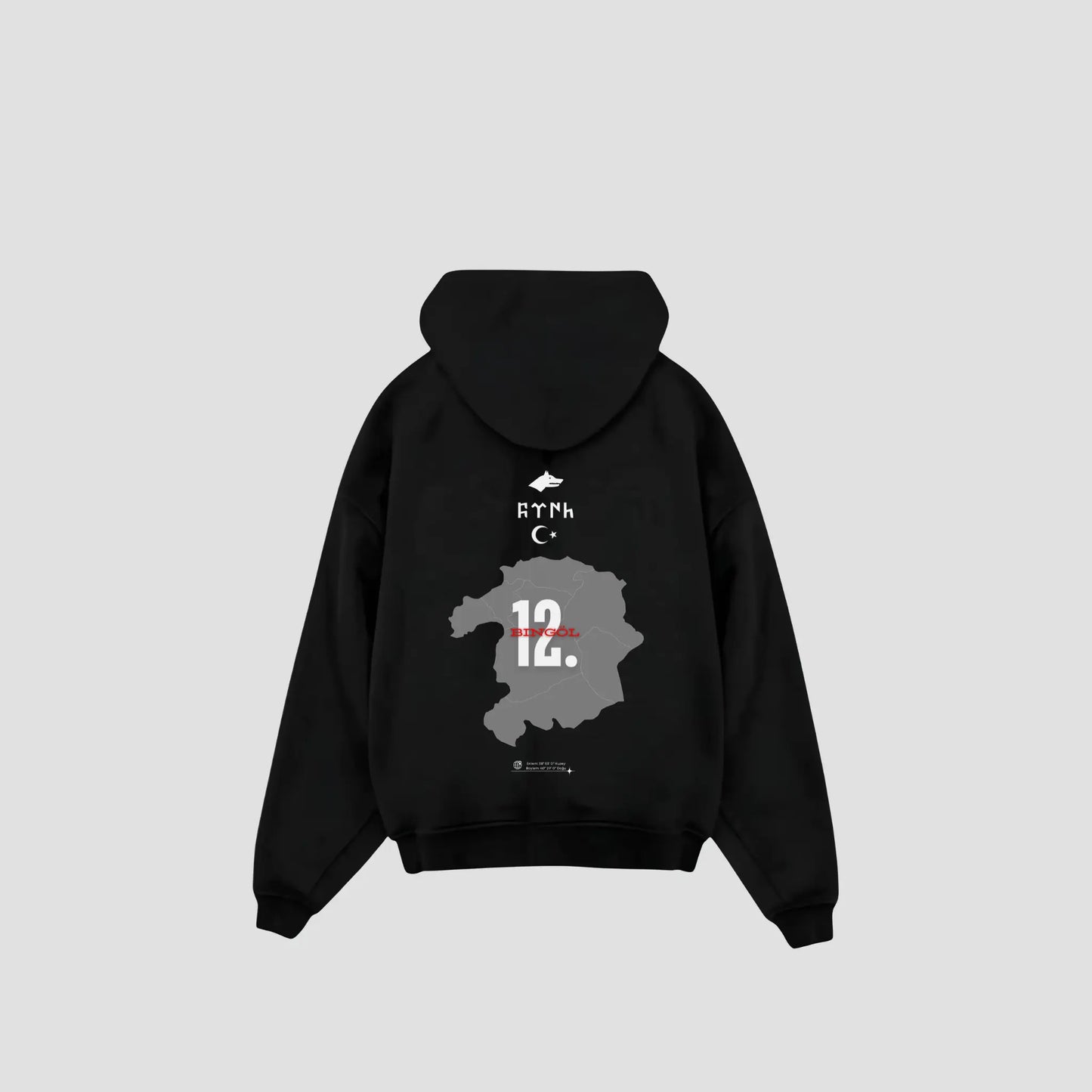 BINGÖL 12 - Oversized Hoodie Backprint Printegy