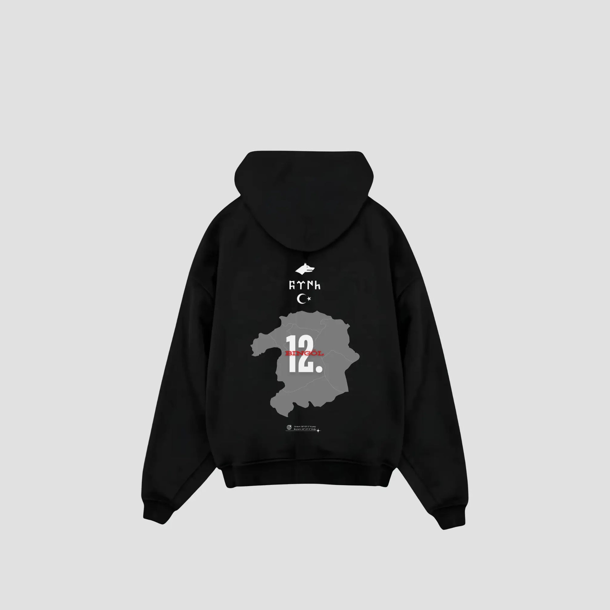 BINGÖL 12 - Oversized Hoodie Backprint Printegy