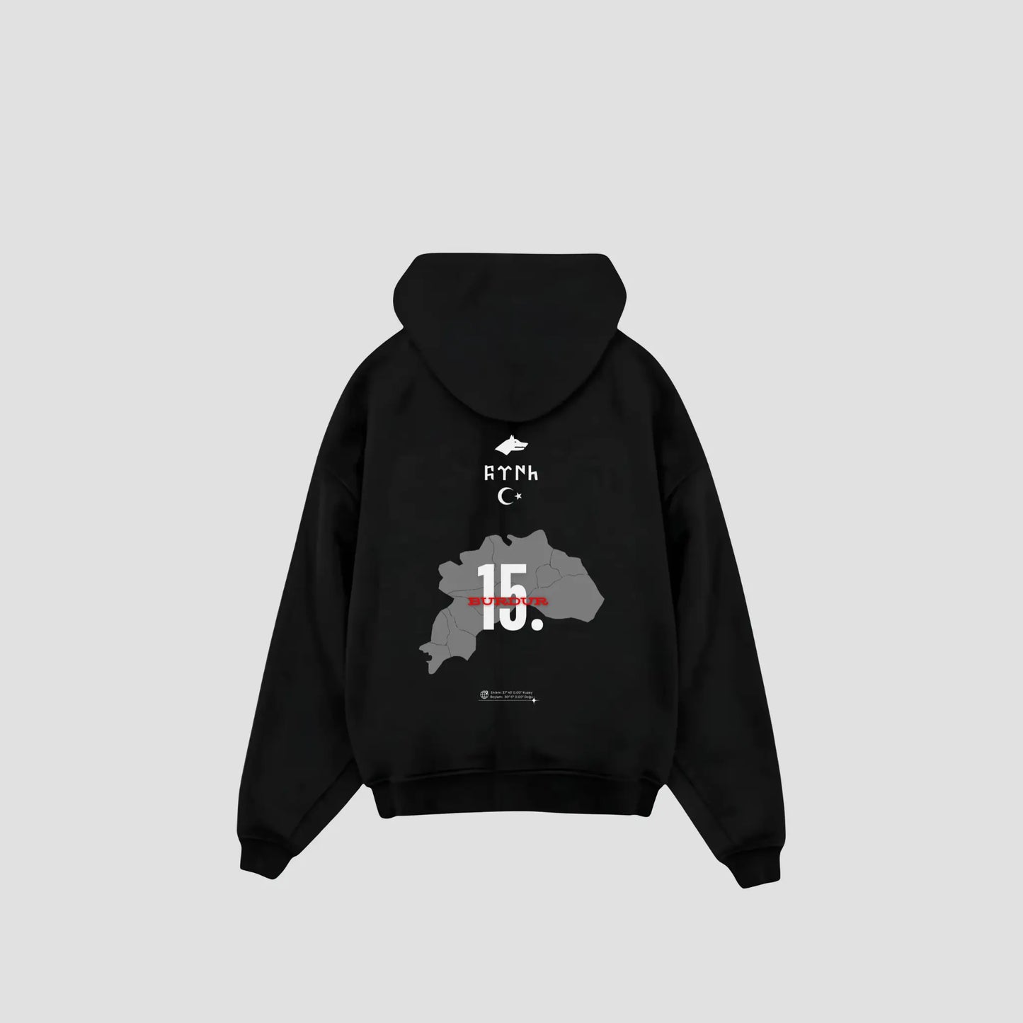 BURDUR 15 - Oversized Hoodie Backprint Printegy