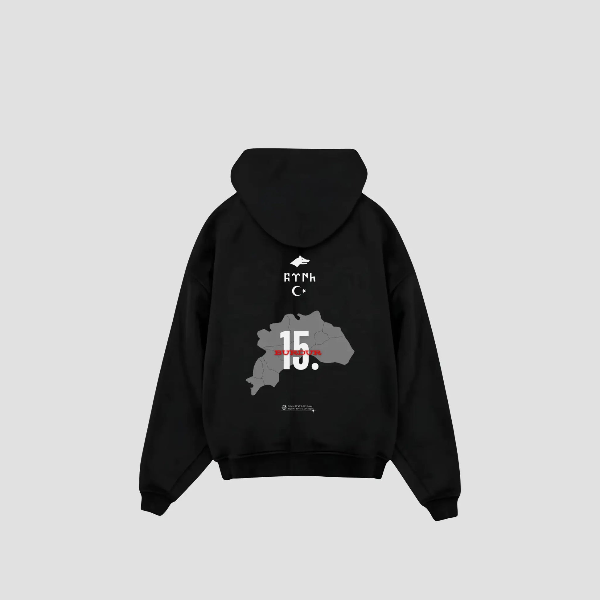 BURDUR 15 - Oversized Hoodie Backprint Printegy