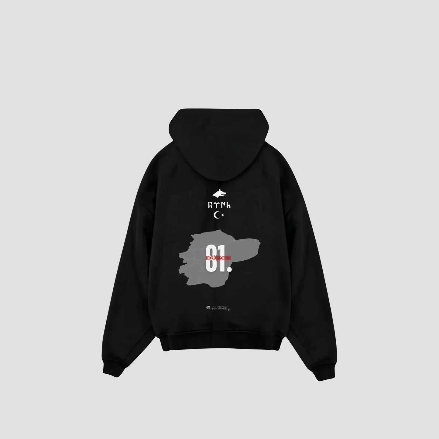 DÜZCE 81 - Oversized Hoodie Backprint Printegy