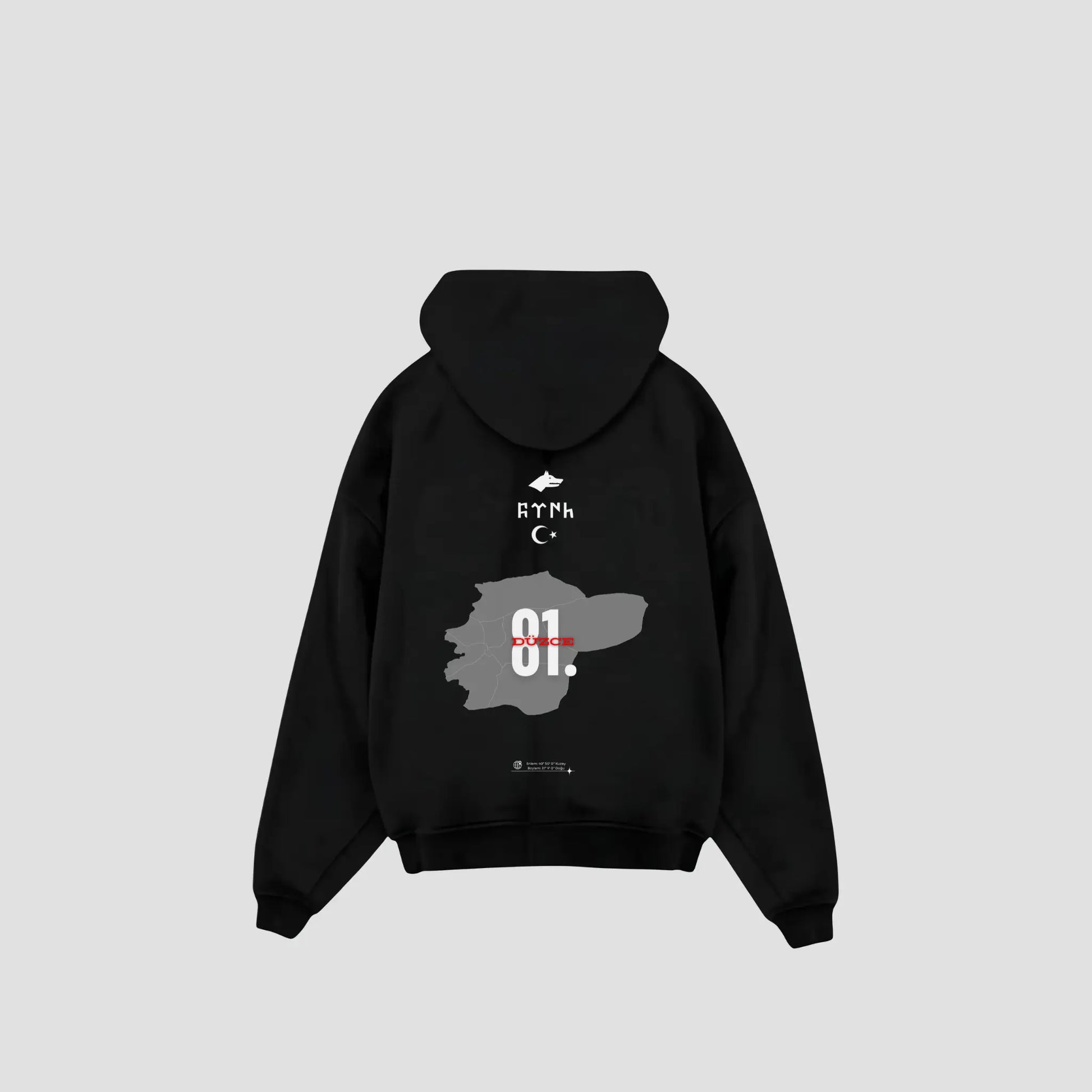 DÜZCE 81 - Oversized Hoodie Backprint Printegy