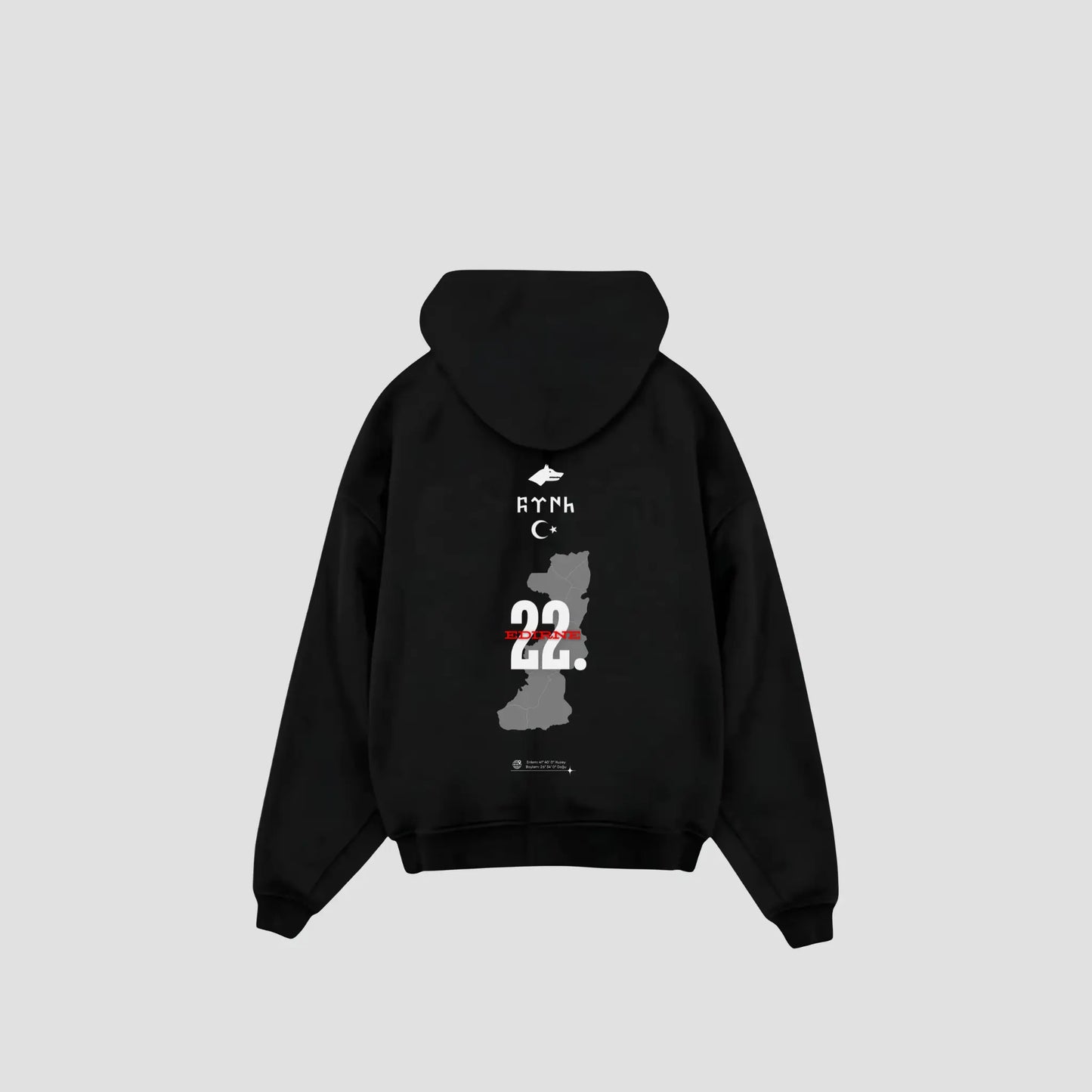 EDIRNE 22 - Oversized Hoodie Backprint Printegy
