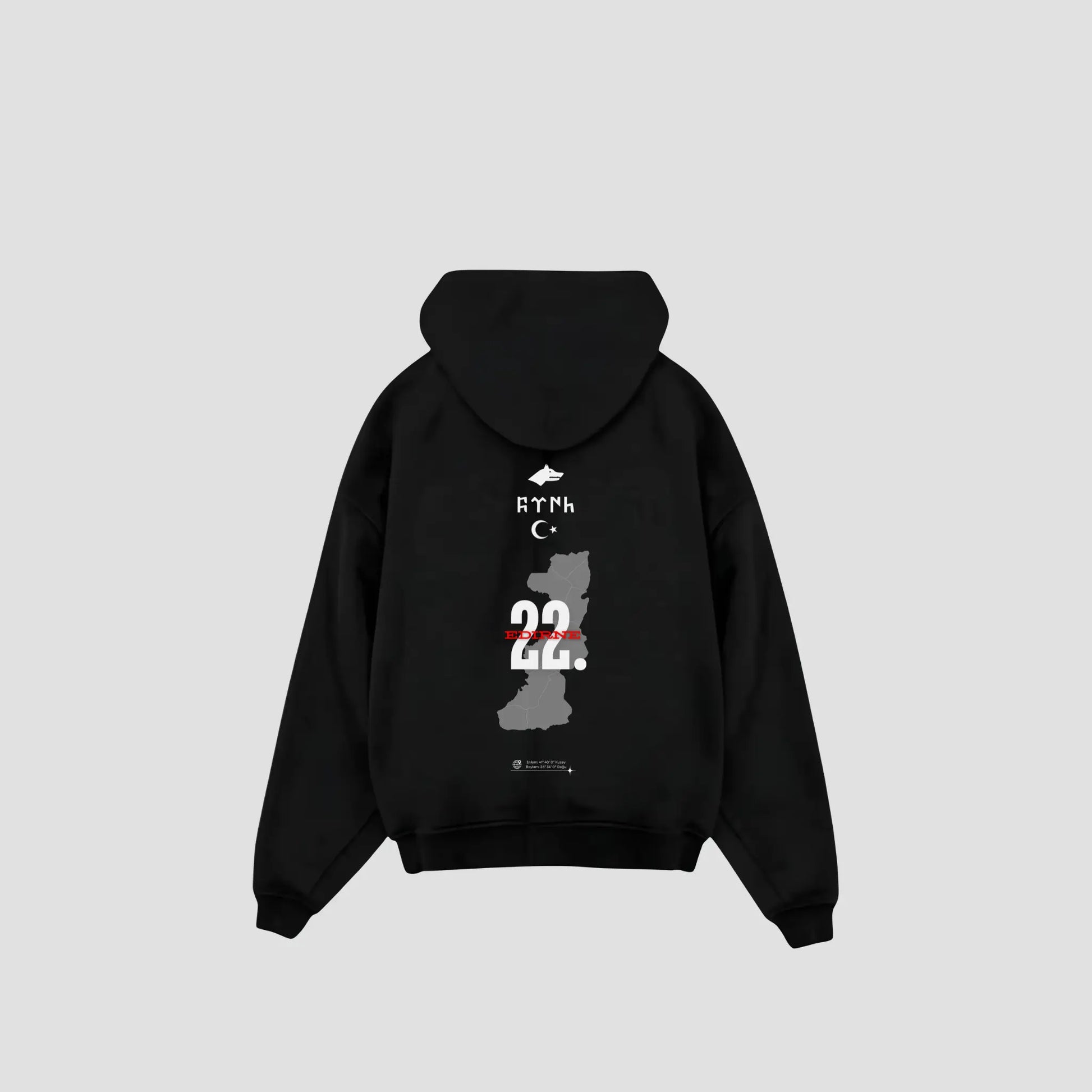 EDIRNE 22 - Oversized Hoodie Backprint Printegy