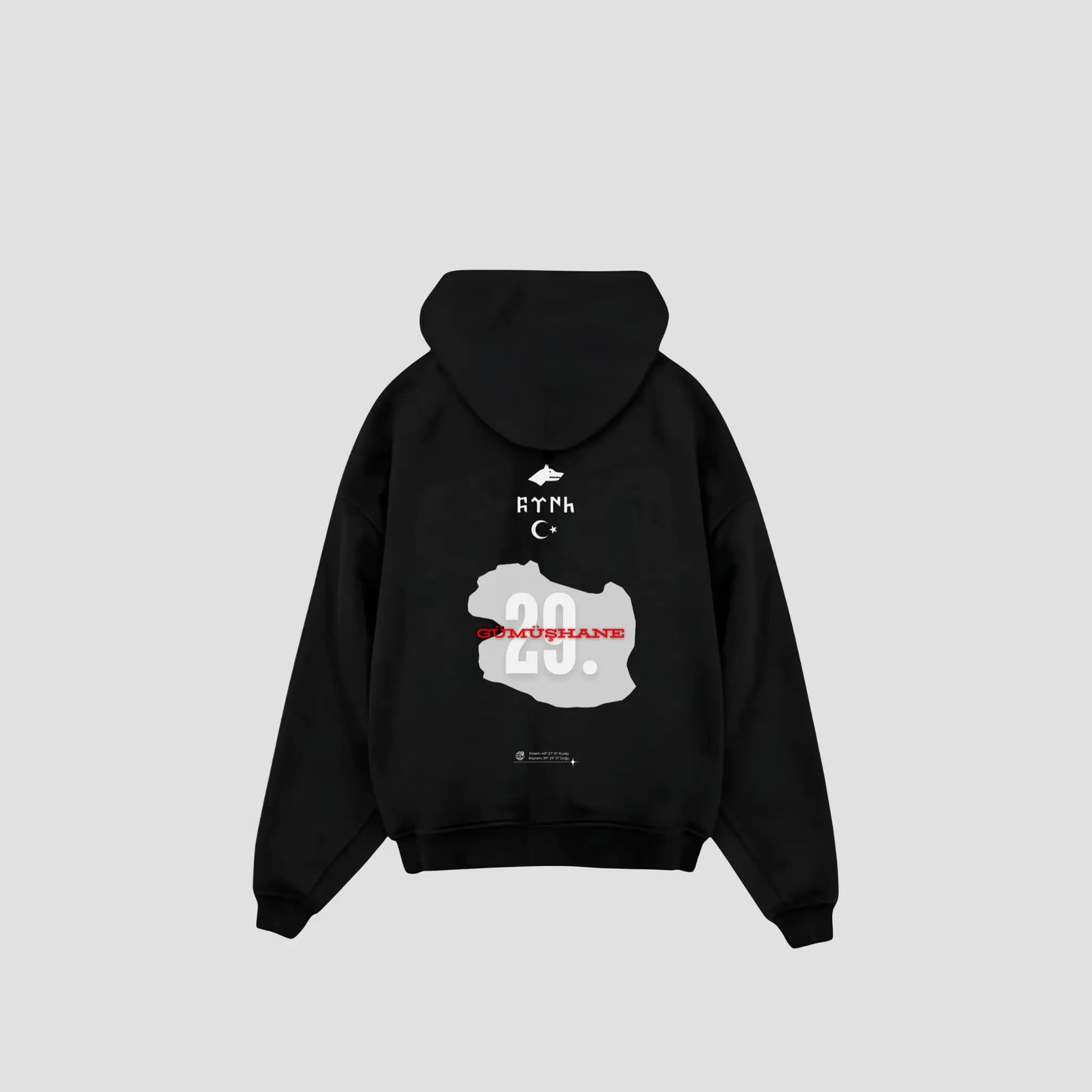 GÜMÜSHANE 29 - Oversized Hoodie Backprint Printegy