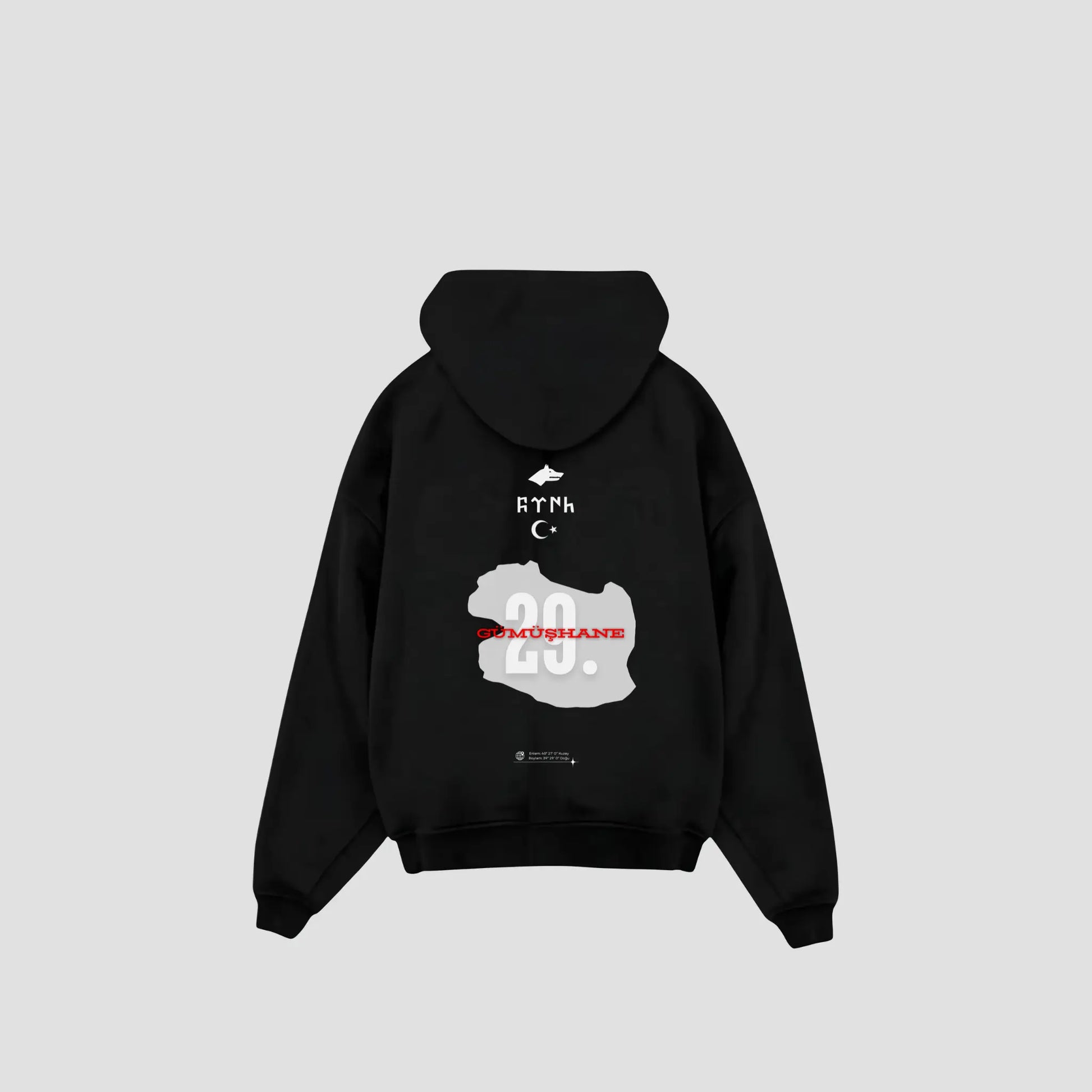 GÜMÜSHANE 29 - Oversized Hoodie Backprint Printegy