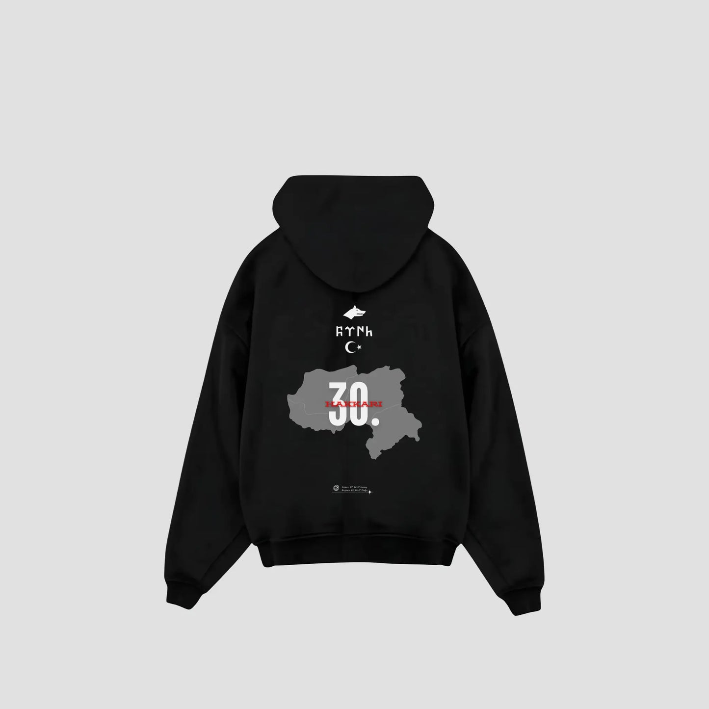 HAKKARI 30 - Oversized Hoodie Backprint Printegy