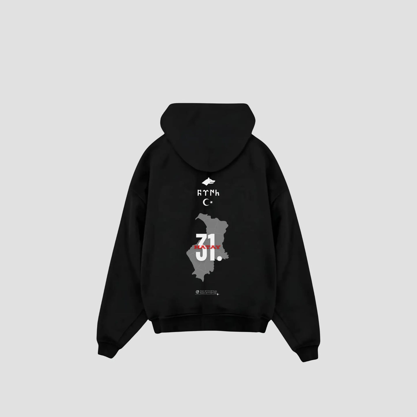 HATAY 31 - Oversized Hoodie Backprint Printegy