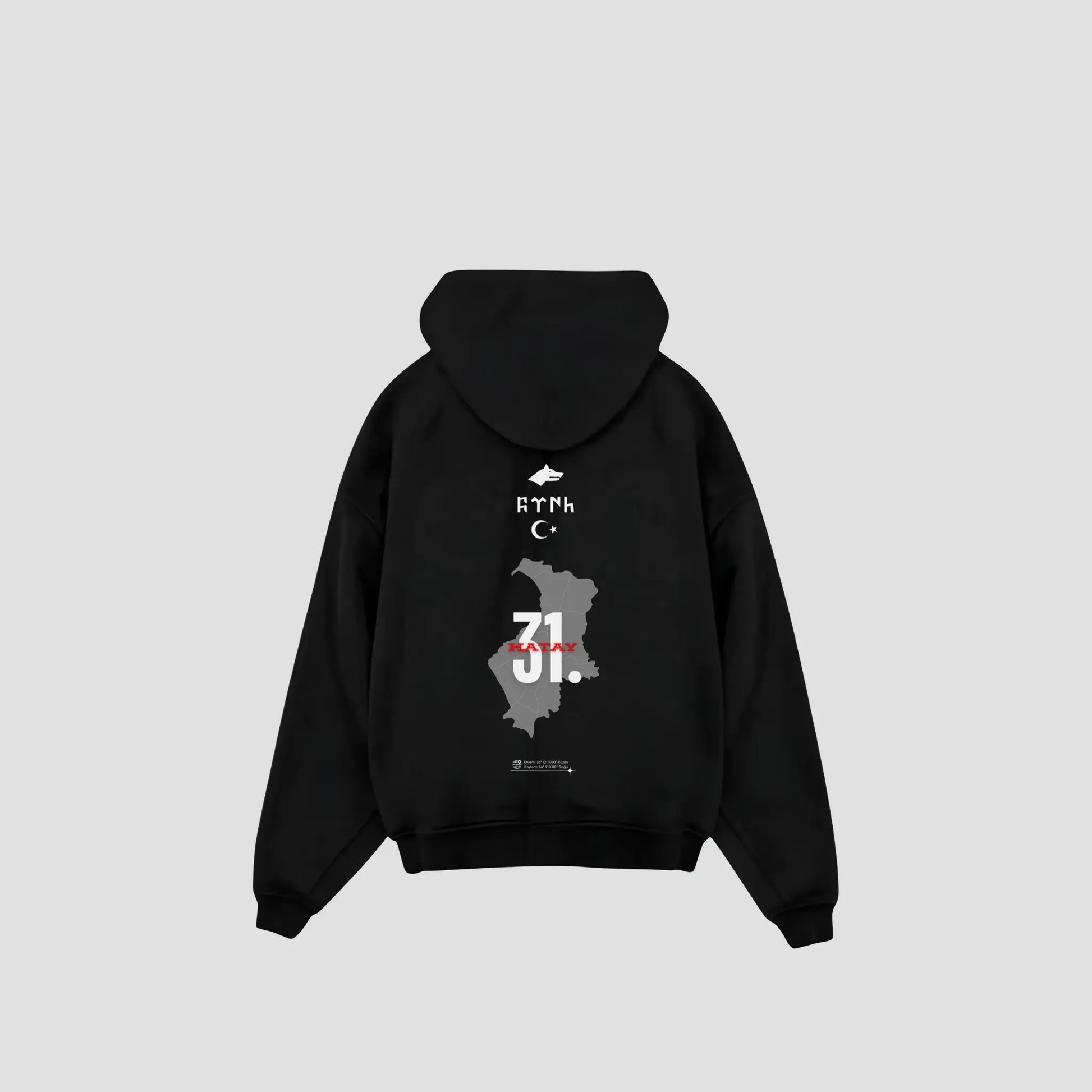 HATAY 31 - Oversized Hoodie Backprint Printegy