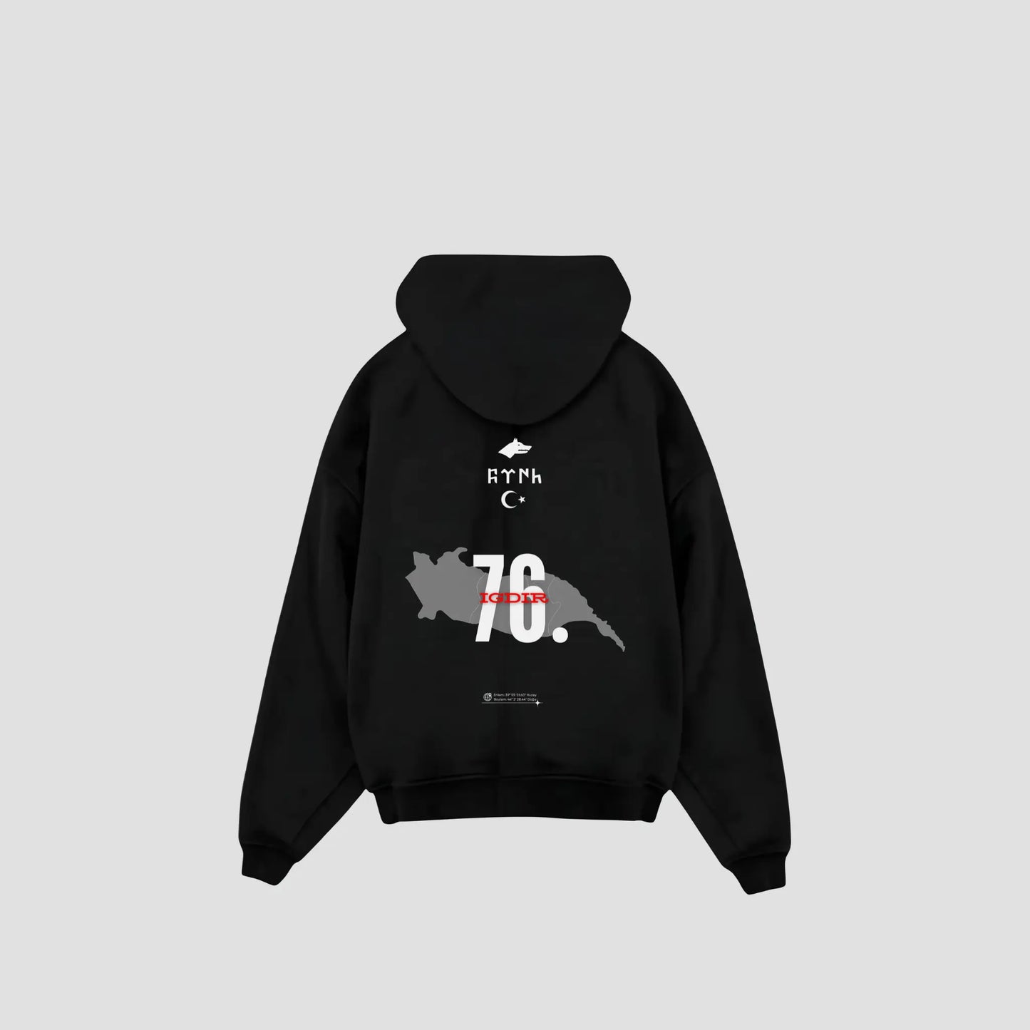 IGDIR 76 - Oversized Hoodie Backprint Printegy
