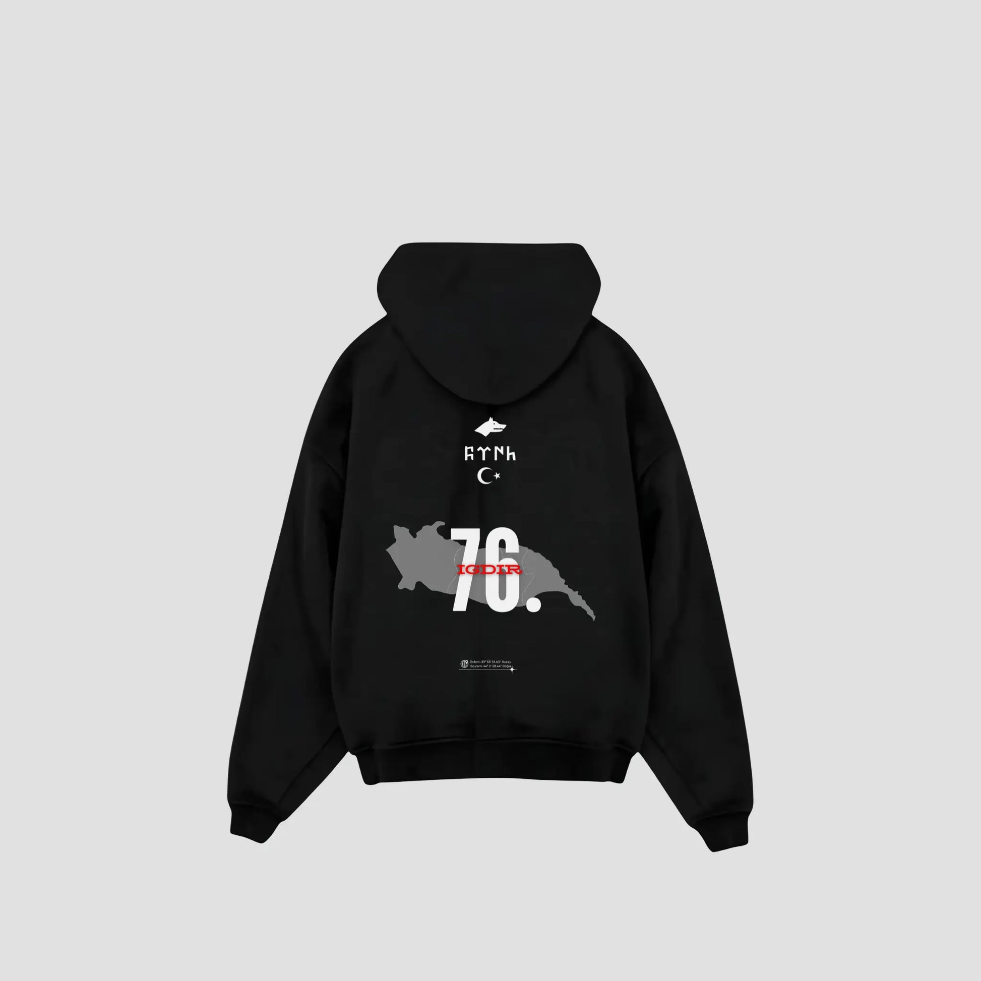 IGDIR 76 - Oversized Hoodie Backprint Printegy