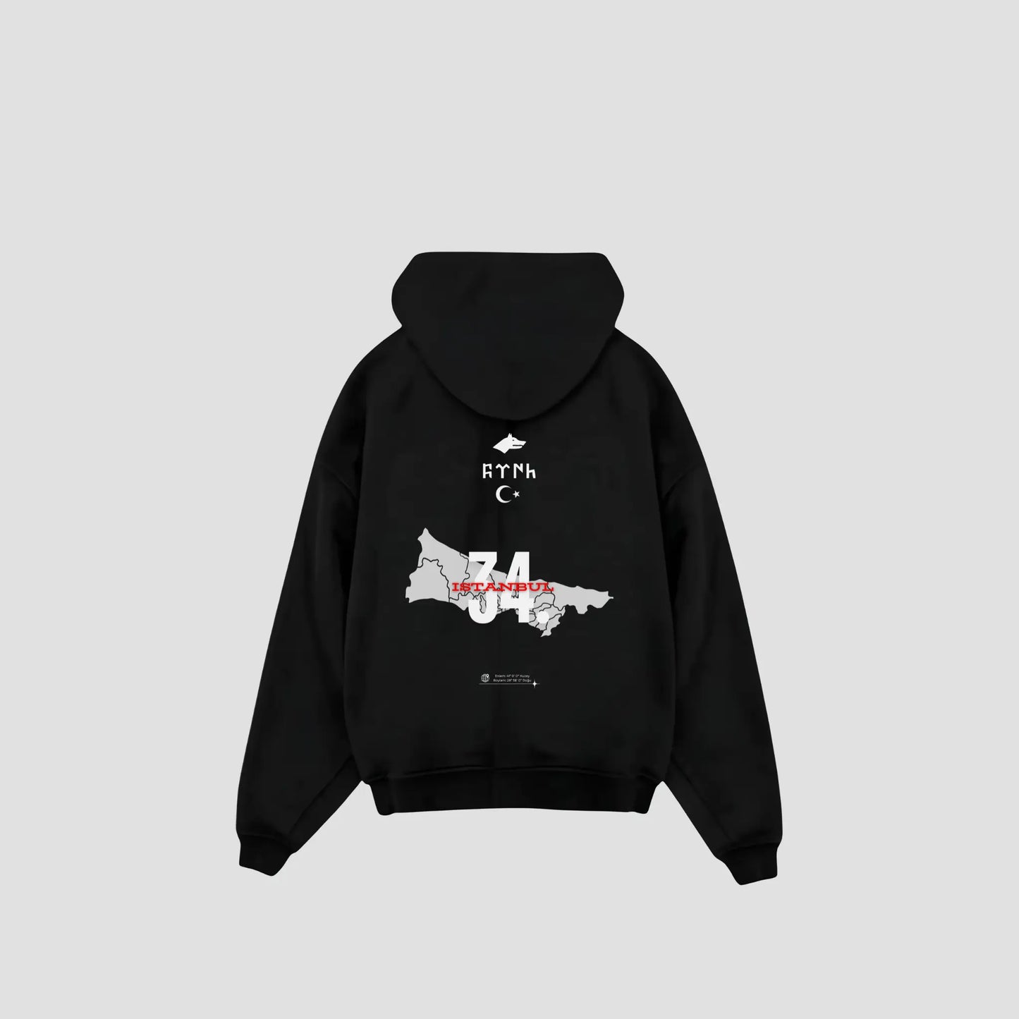 ISTANBUL 34 - Oversized Hoodie Backprint Printegy