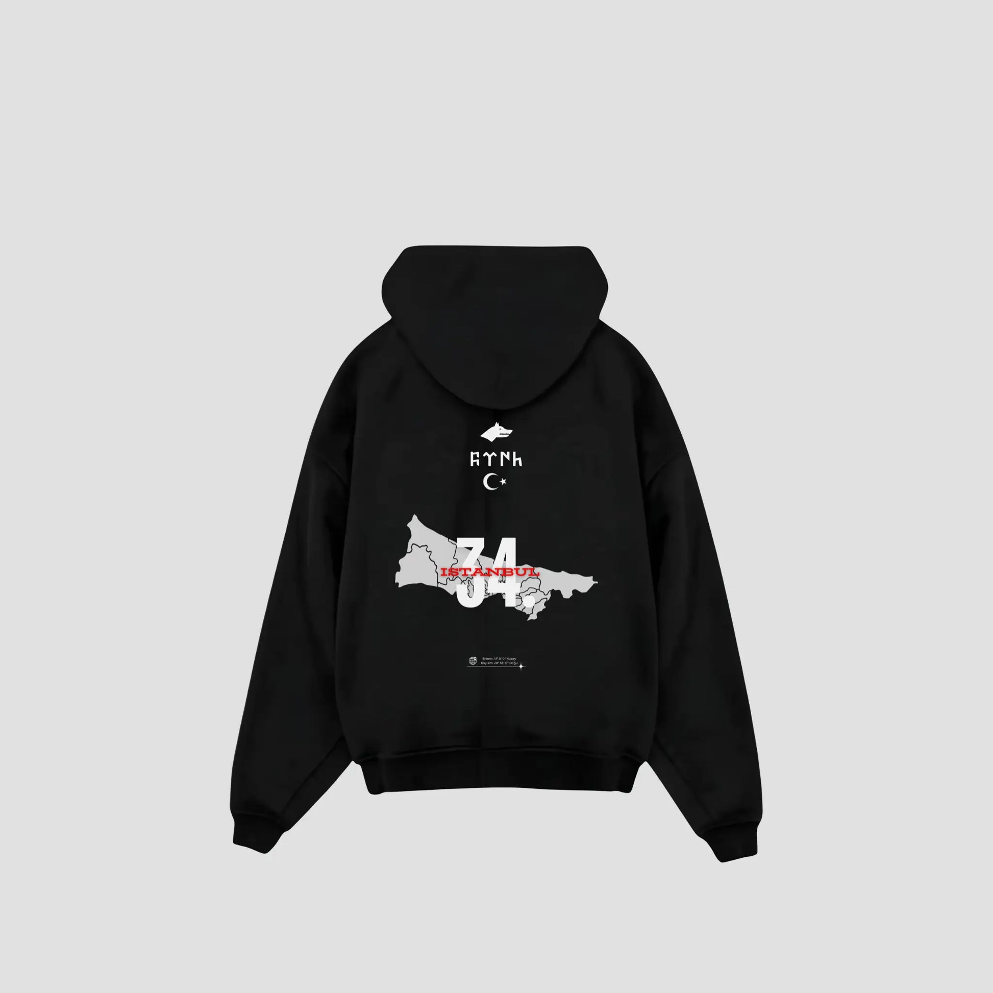 ISTANBUL 34 - Oversized Hoodie Backprint Printegy