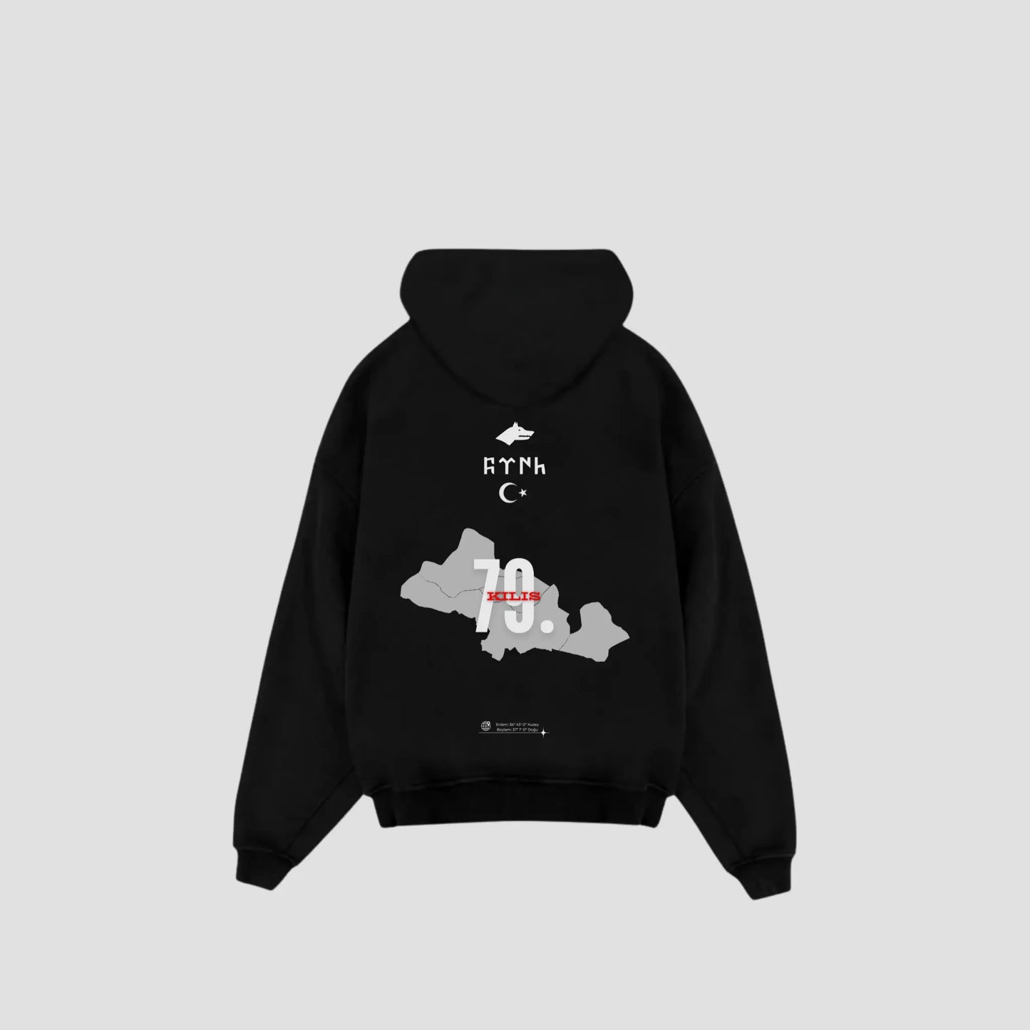 KILIS 79 - Oversized Hoodie Backprint Printegy