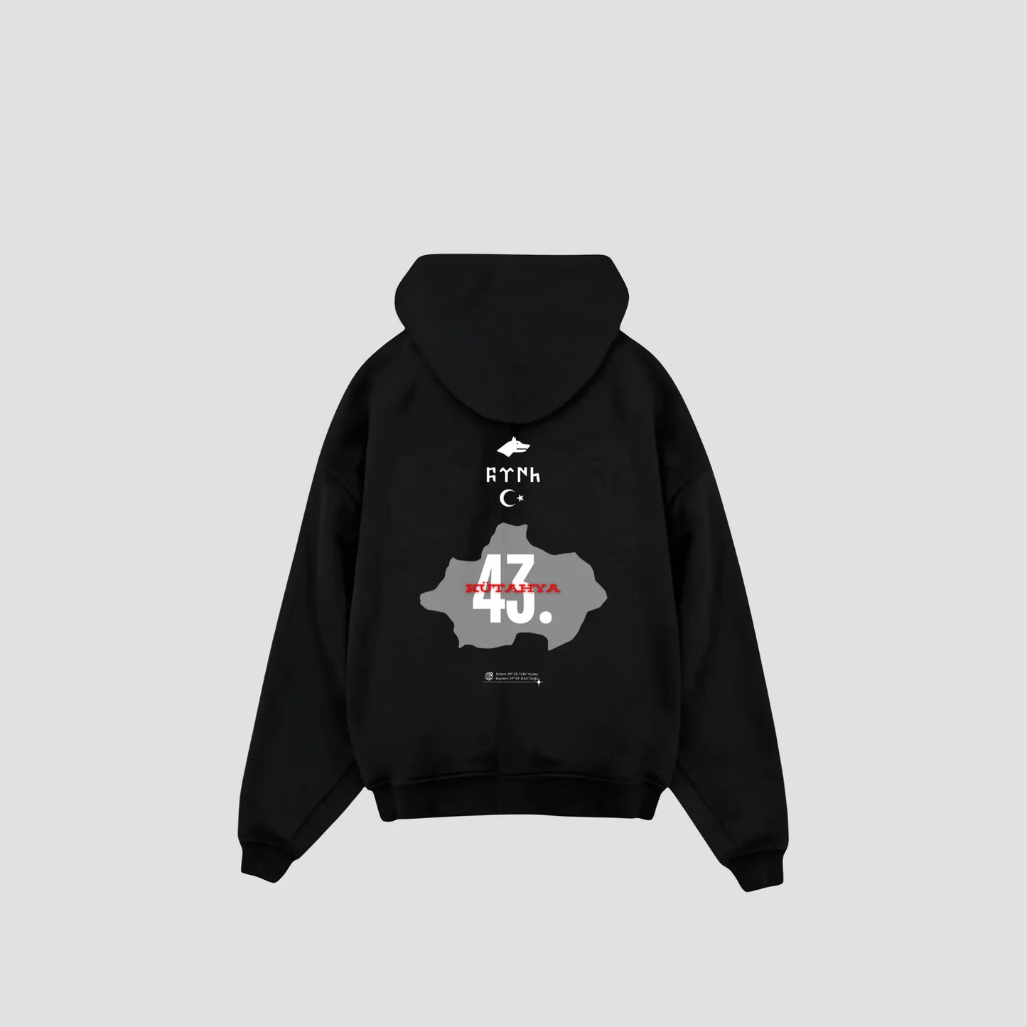 KÜTAHYA 43 - Oversized Hoodie Backprint Printegy