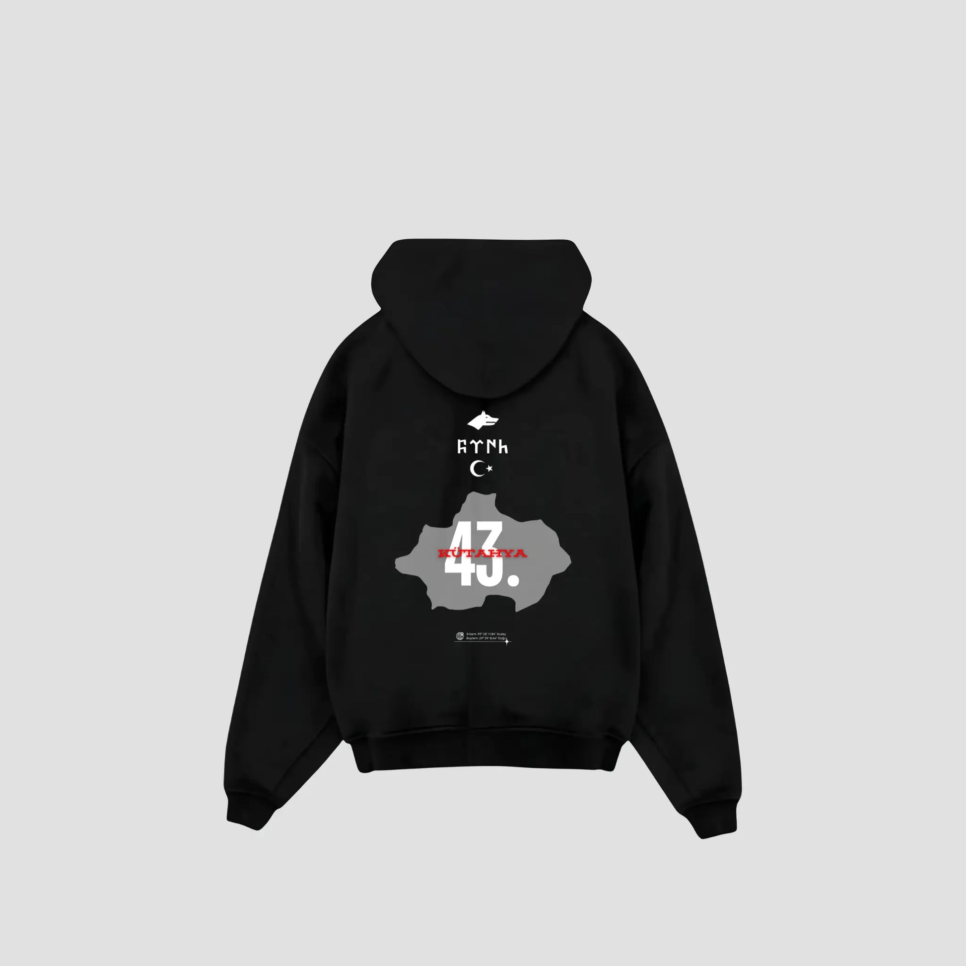 KÜTAHYA 43 - Oversized Hoodie Backprint Printegy