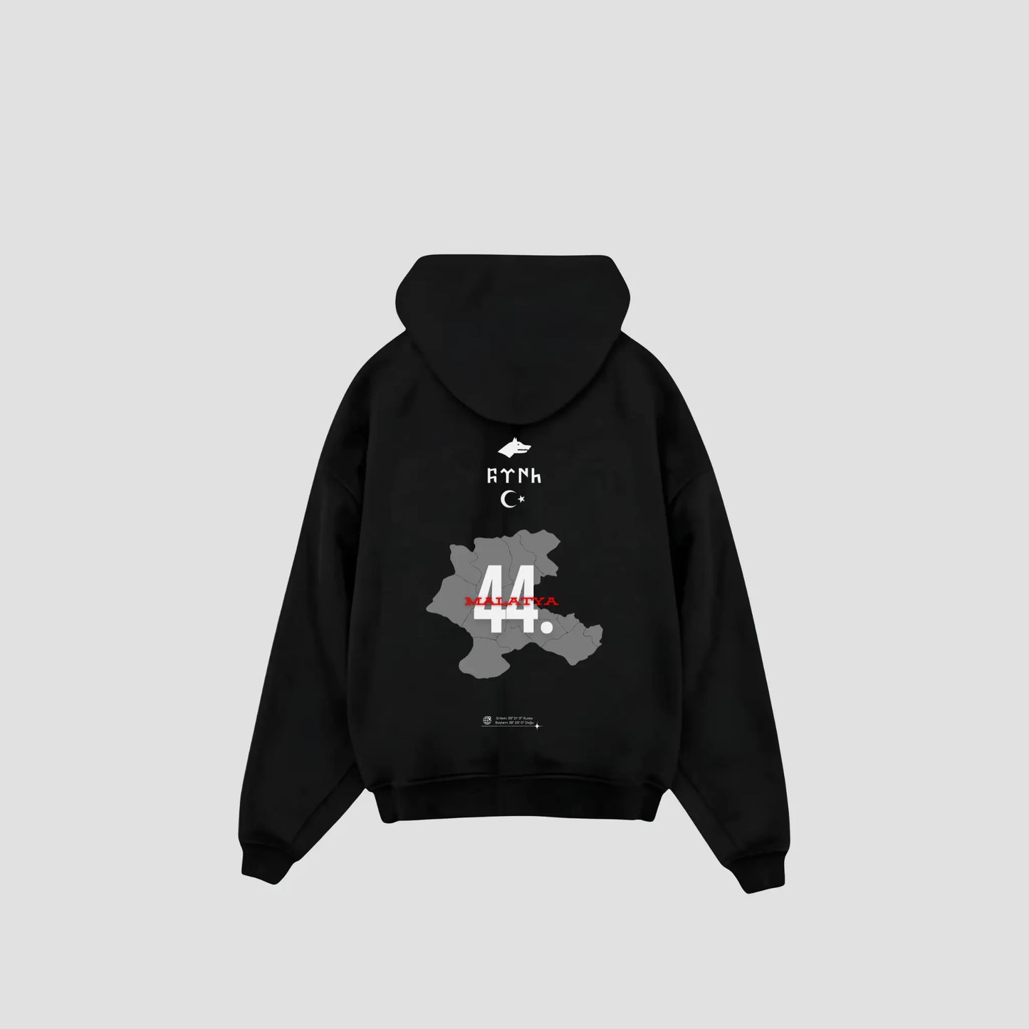 MALATYA 44 - Oversized Hoodie Backprint Printegy