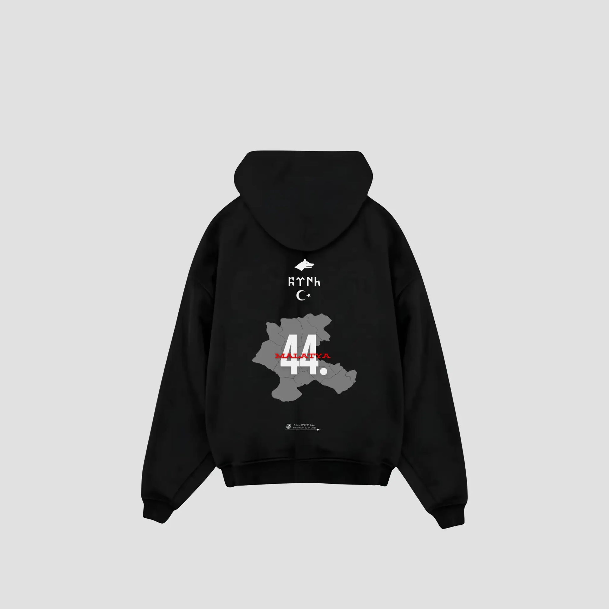MALATYA 44 - Oversized Hoodie Backprint Printegy