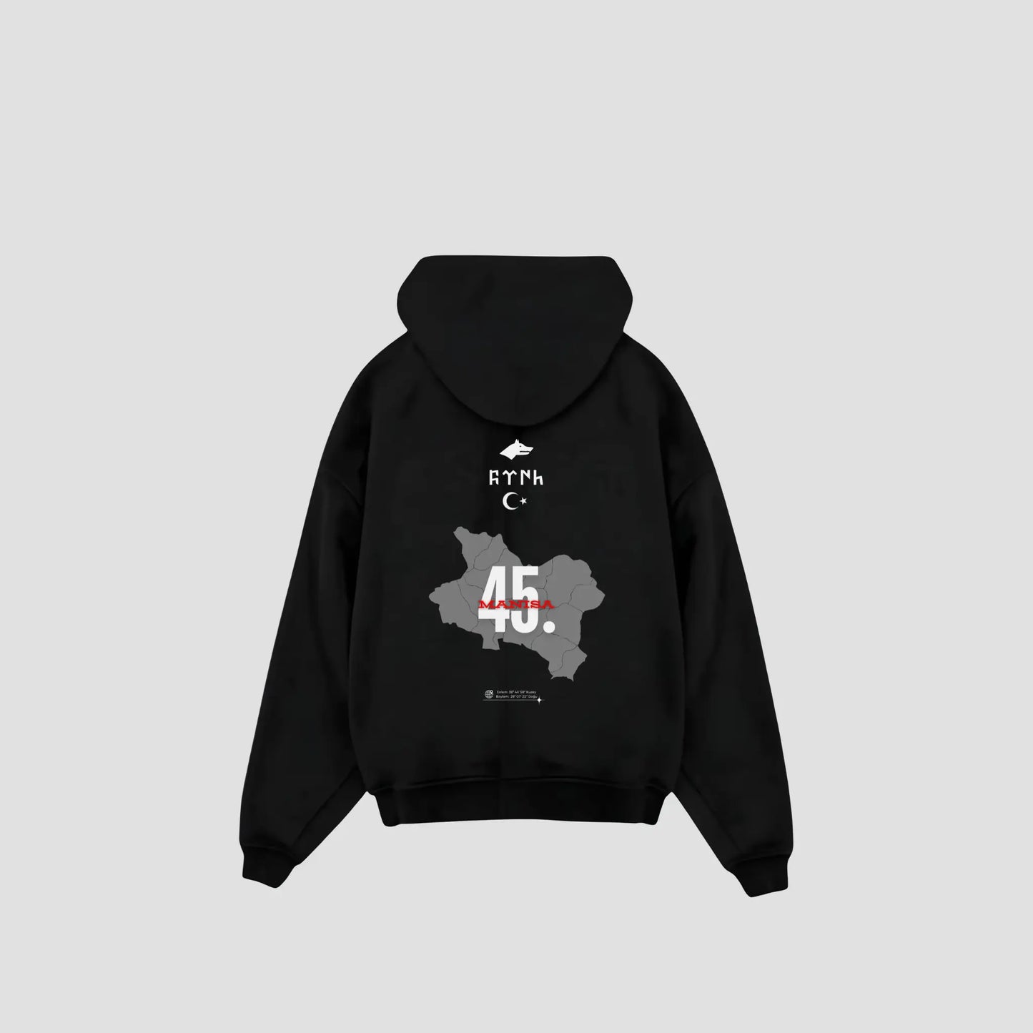 MANISA 45 - Oversized Hoodie Backprint Printegy