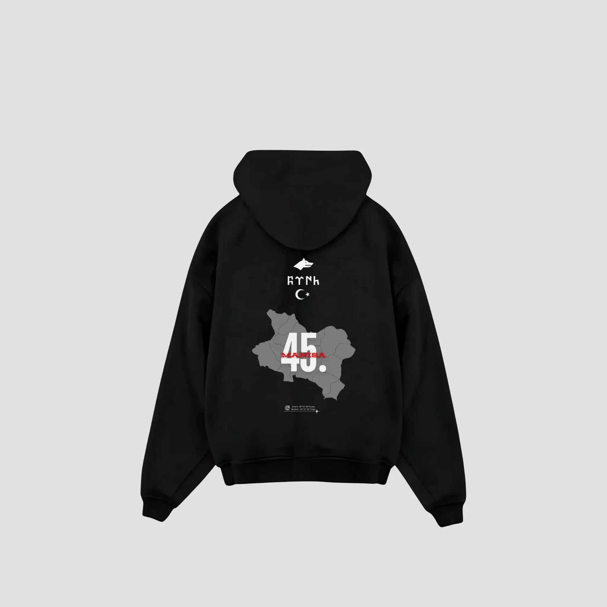 MANISA 45 - Oversized Hoodie Backprint Printegy