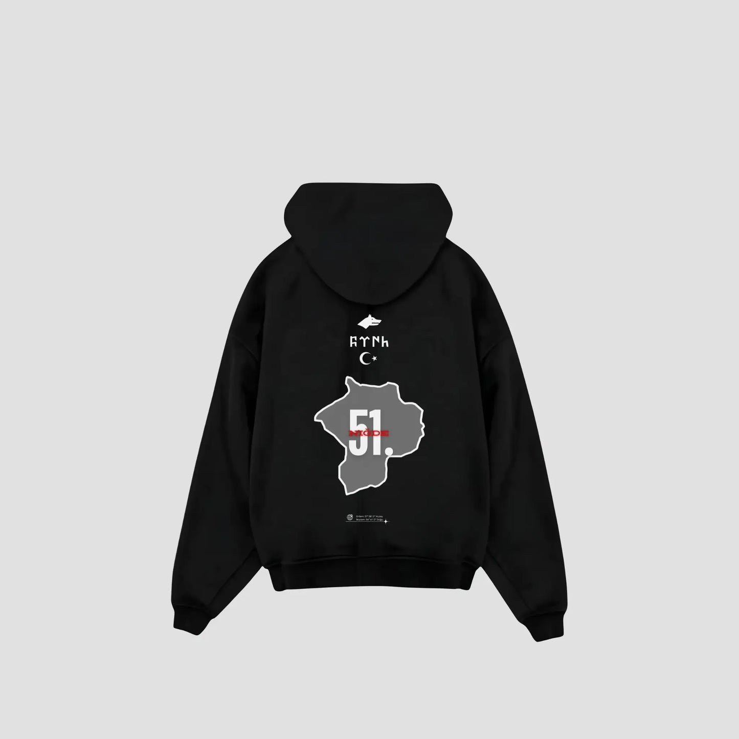 NIGDE 51 - Oversized Hoodie Backprint Printegy