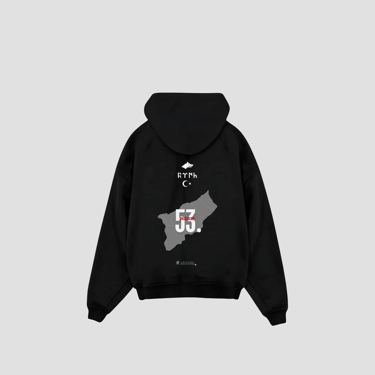 RIZE 53 - Oversized Hoodie Backprint Printegy