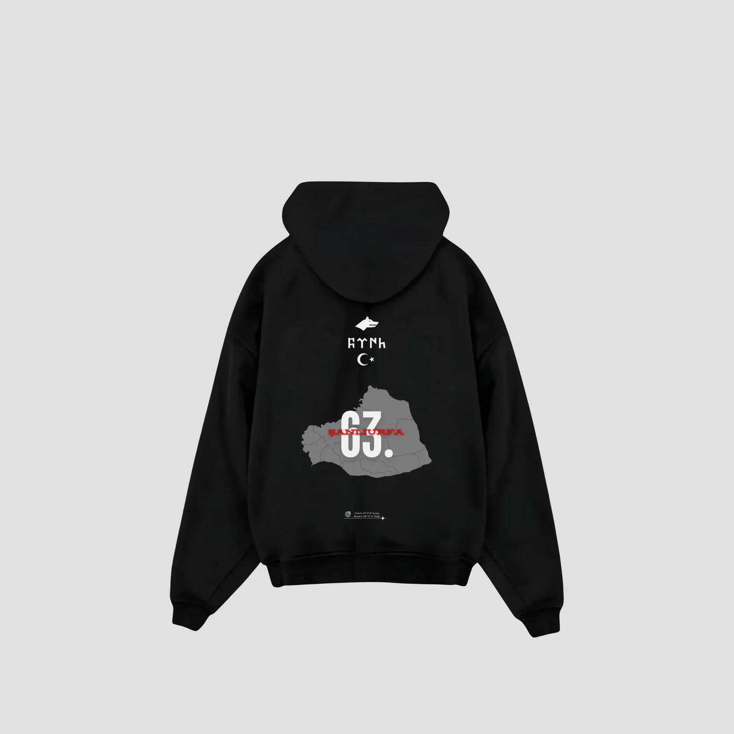 SANLIURFA 63 - Oversized Hoodie Backprint Printegy