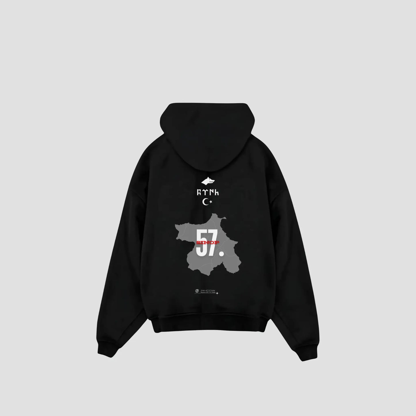 SINOP 57 - Oversized Hoodie Backprint Printegy