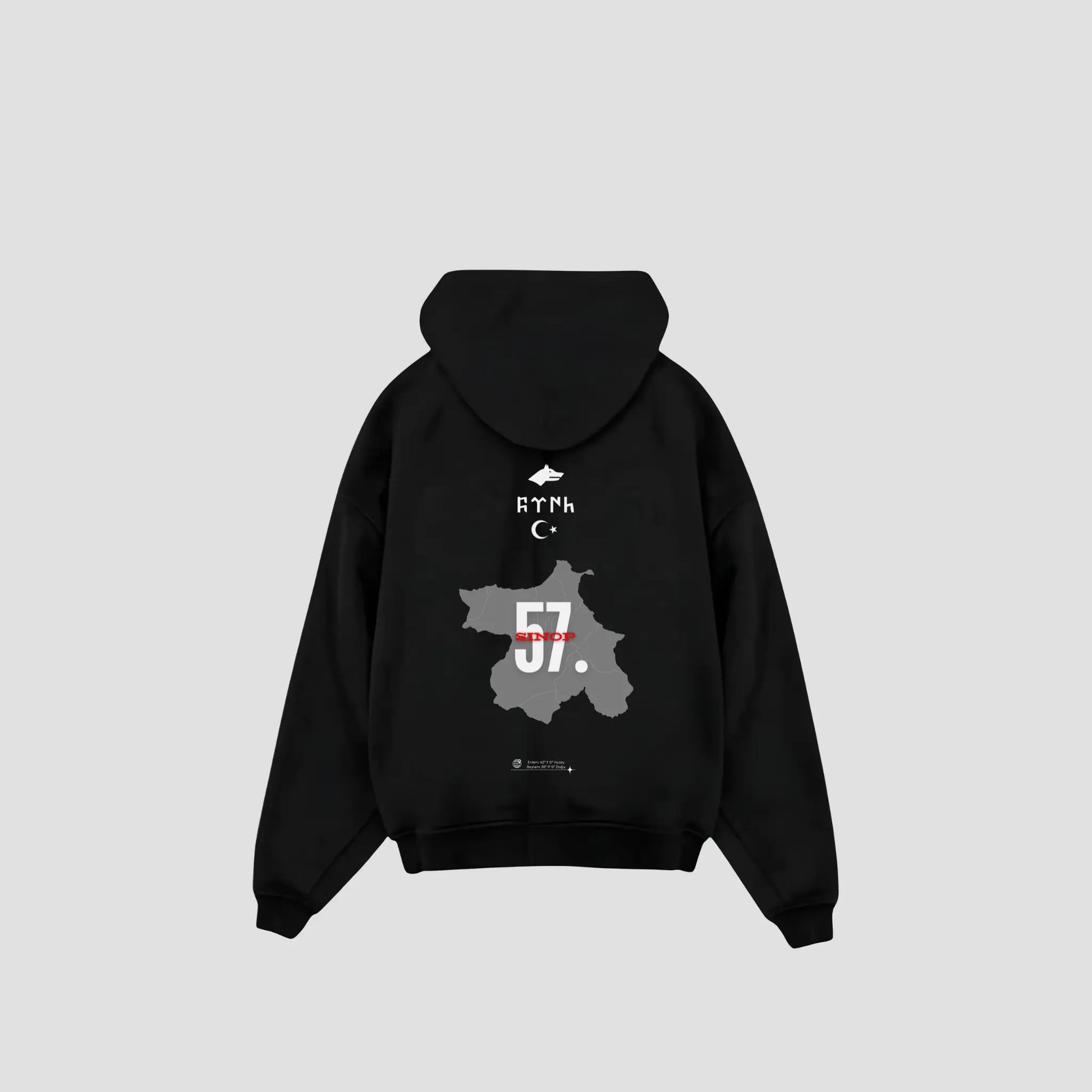 SINOP 57 - Oversized Hoodie Backprint Printegy