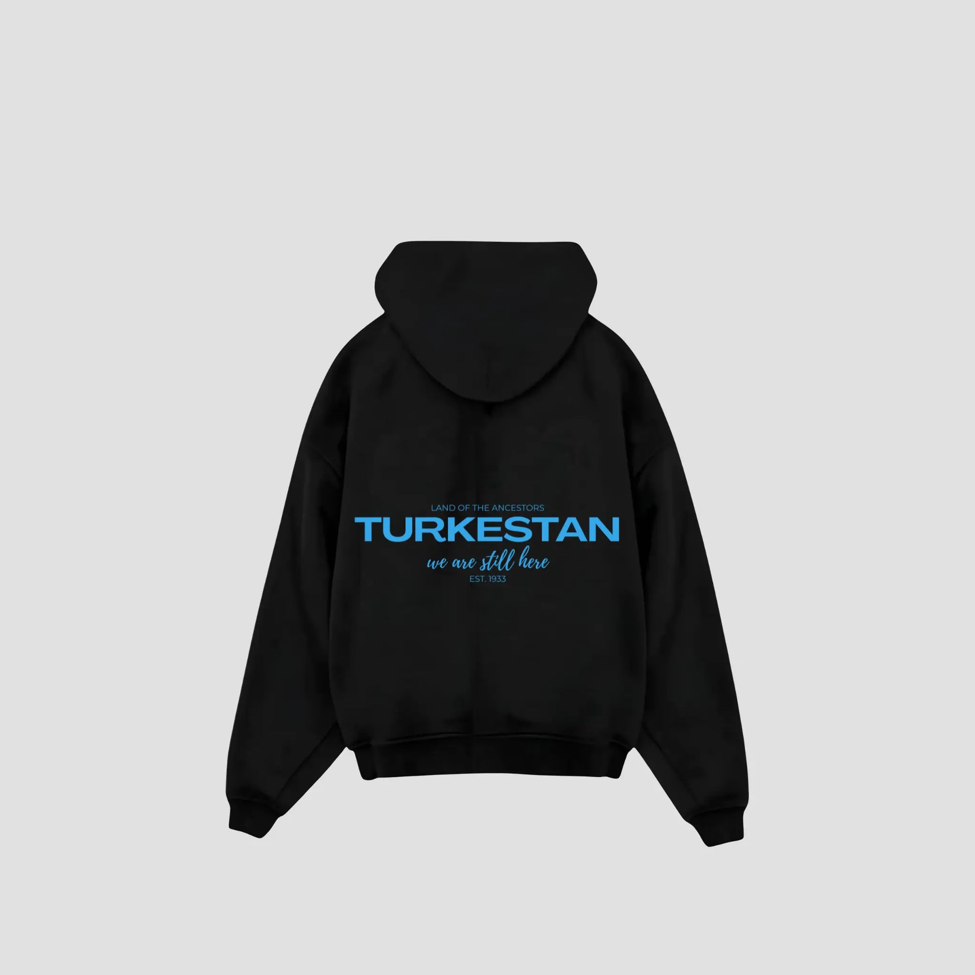 TURKESTAN X FREEDOM - Oversized Hoodie Printegy