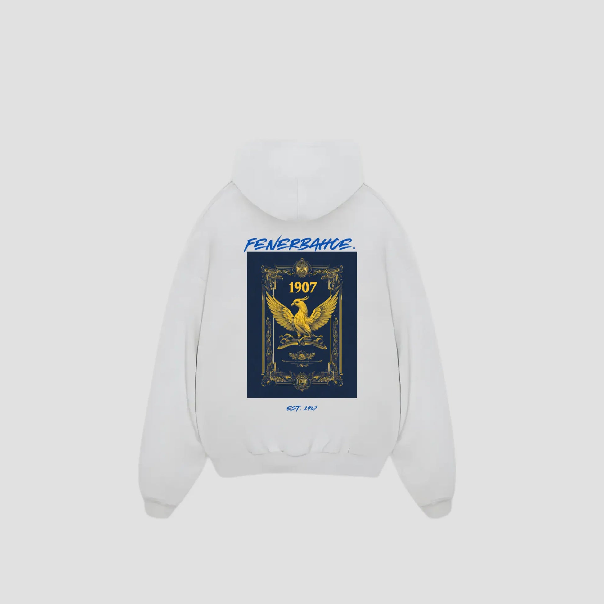 FENERBAHCE - Oversized Hoodie Backprint Printegy
